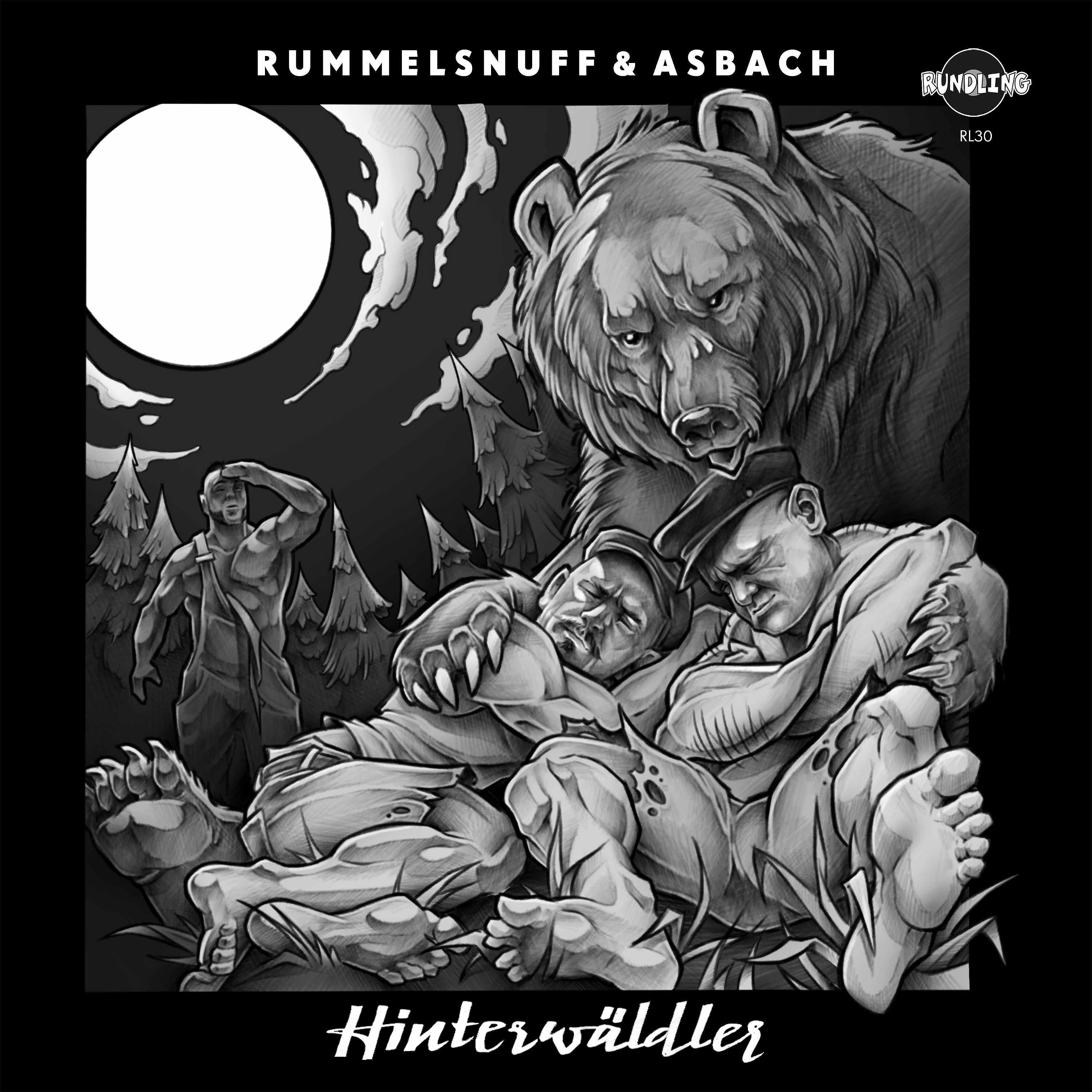 Постер альбома Hinterwäldler