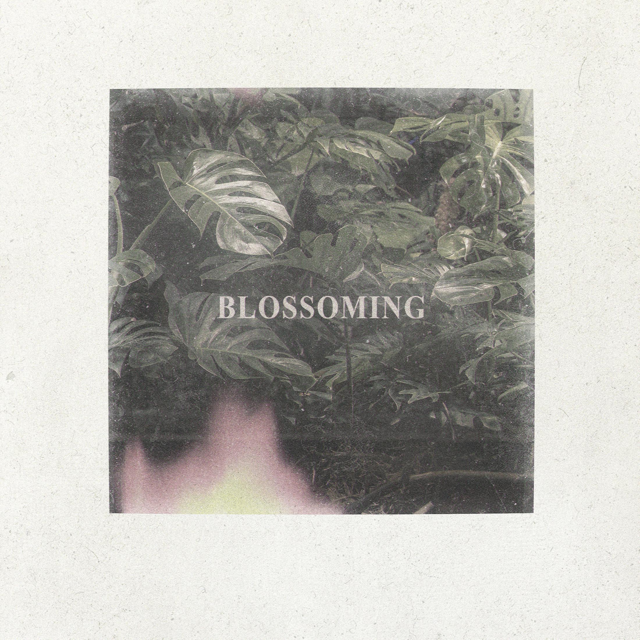 Постер альбома Blossoming