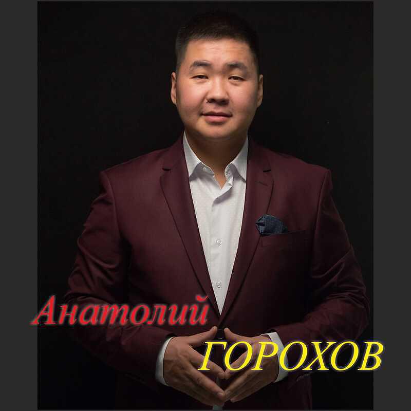 Постер альбома Анатолий Горохов