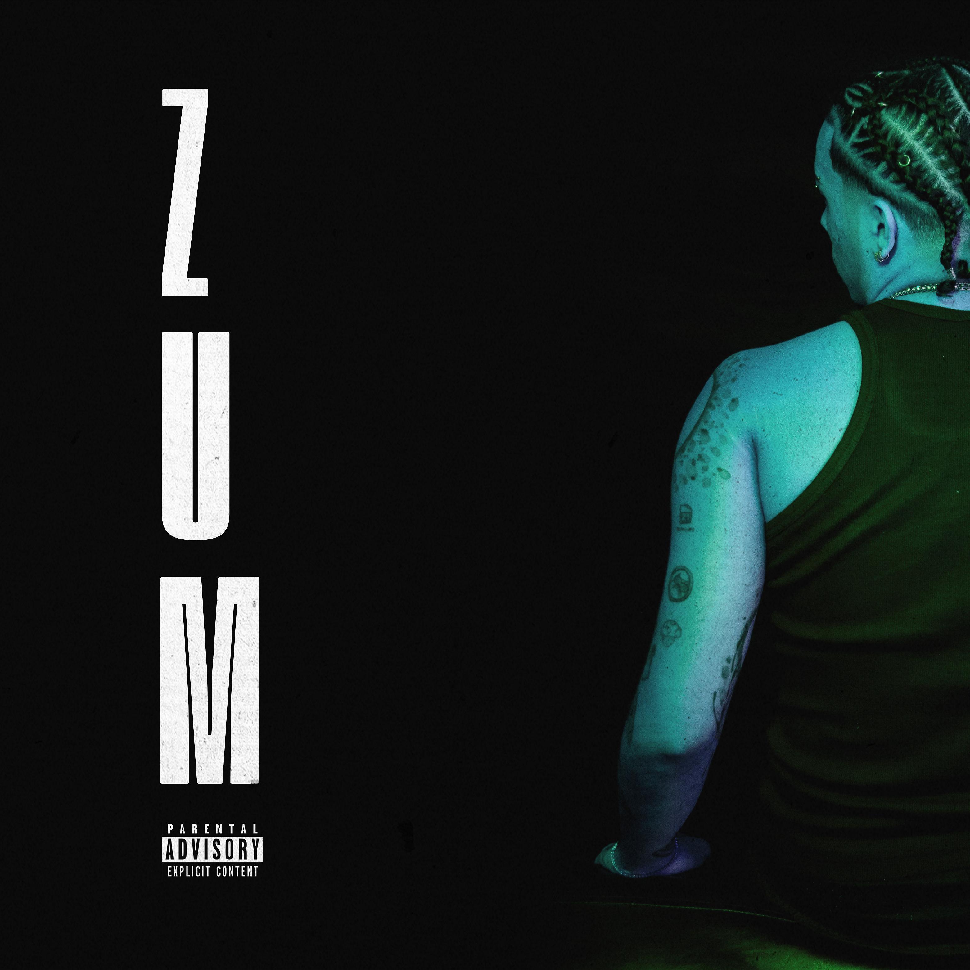 Постер альбома Zum
