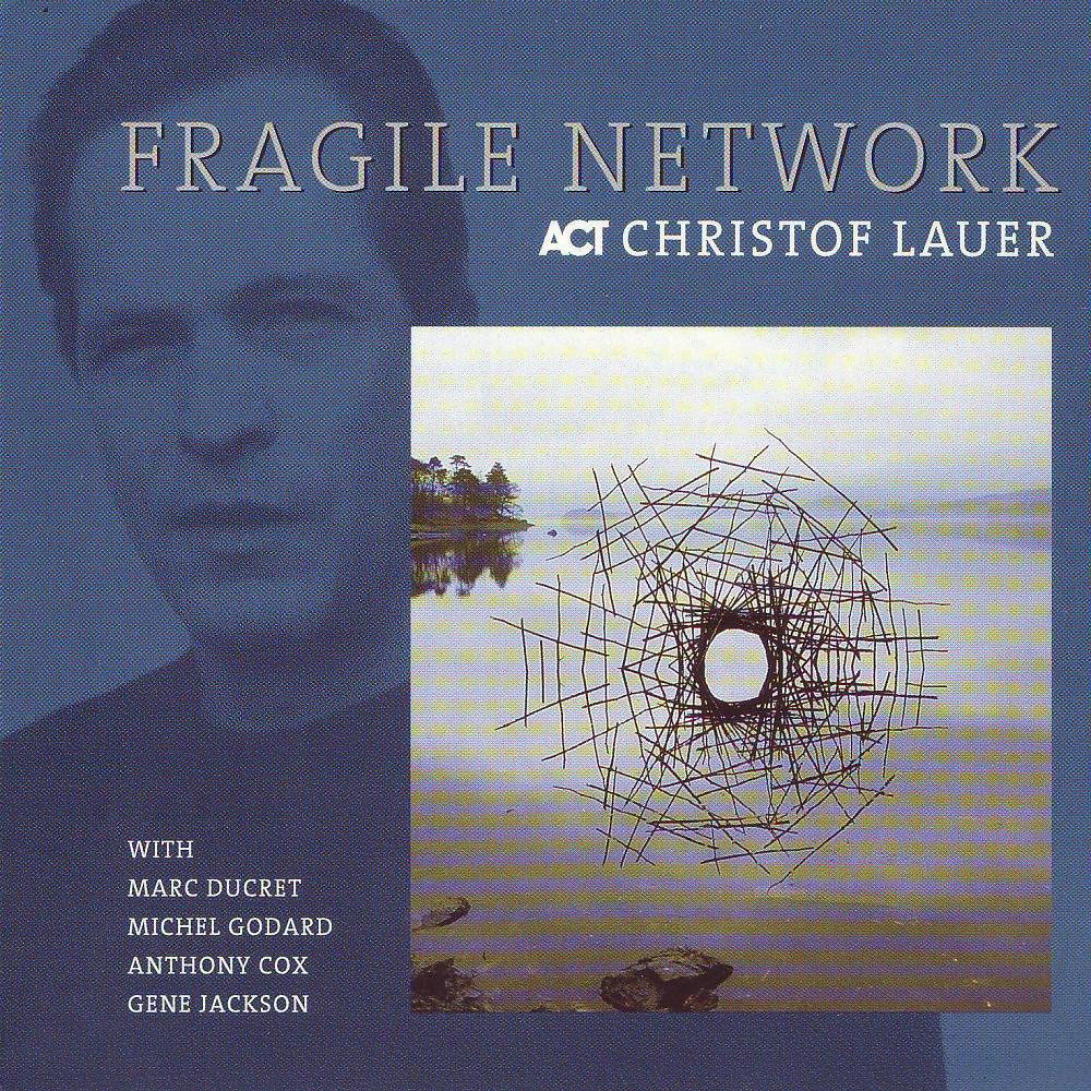 Постер альбома Fragile Network