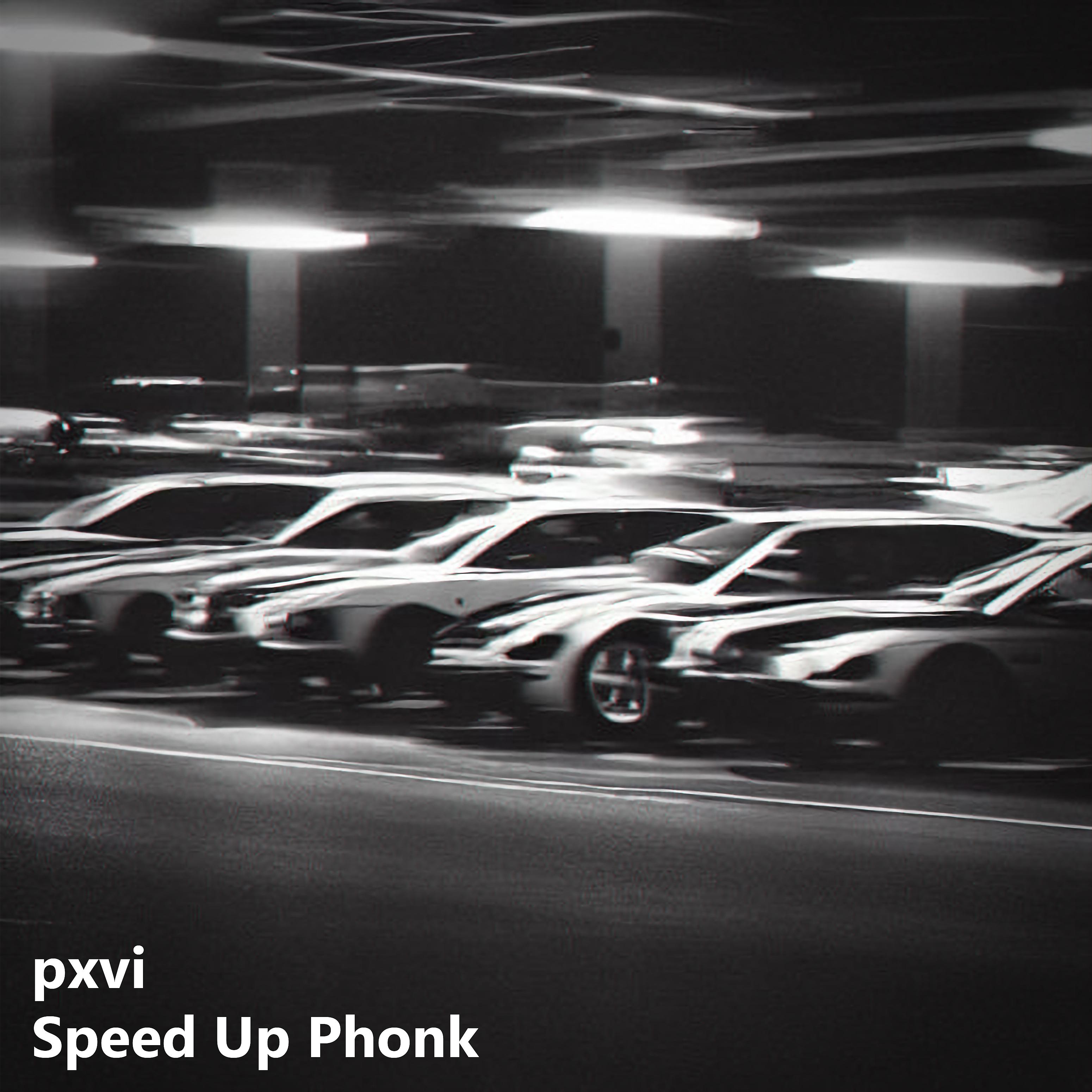 Постер альбома Speed Up Phonk