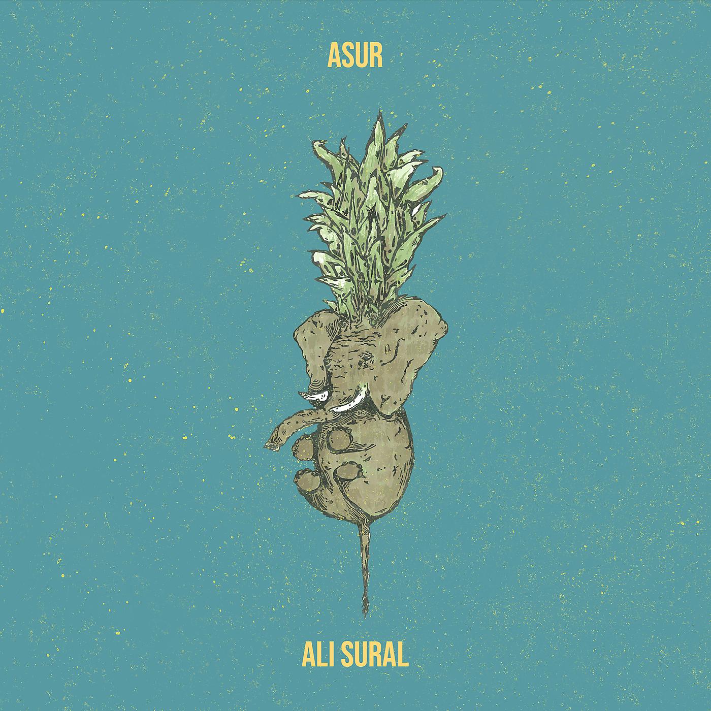 Постер альбома Asur