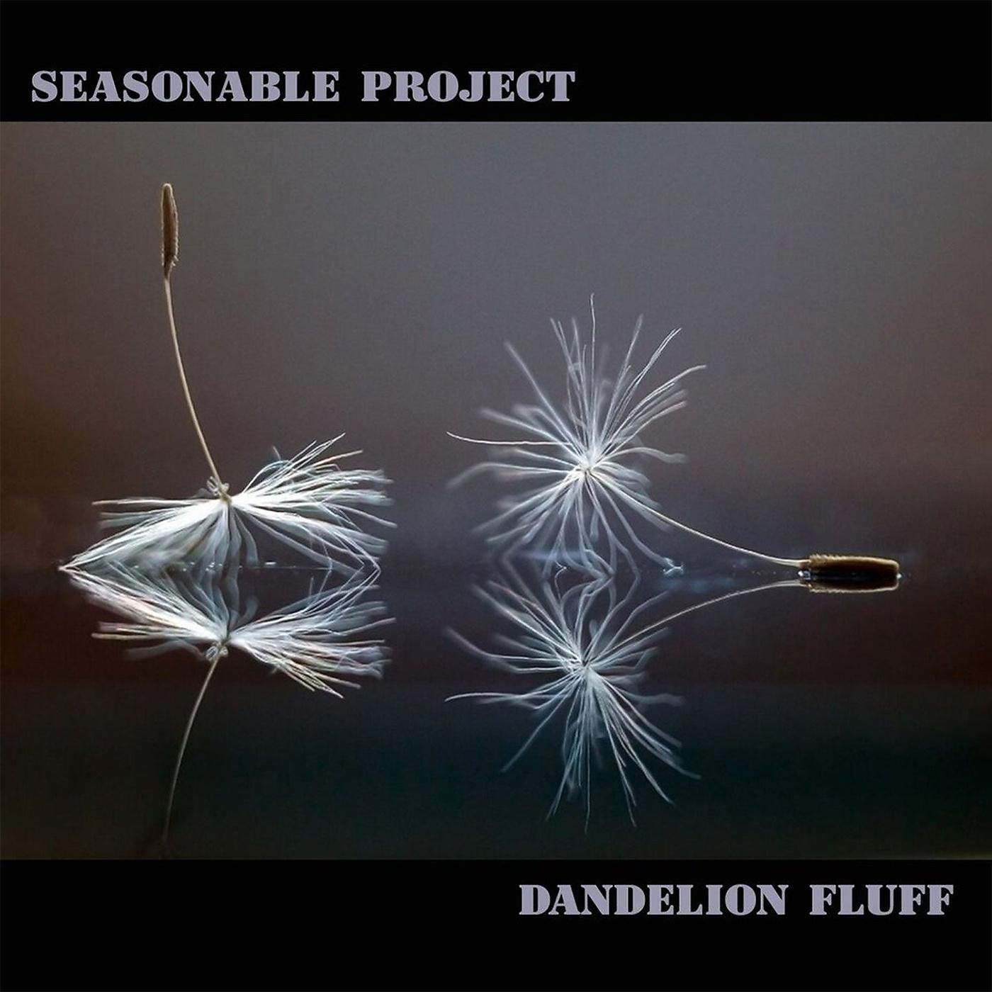 Постер альбома Dandelion Fluff