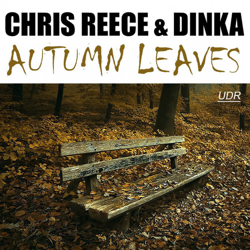 Chris Reece - Autumn Leaves (George F. Zimmer Remix)