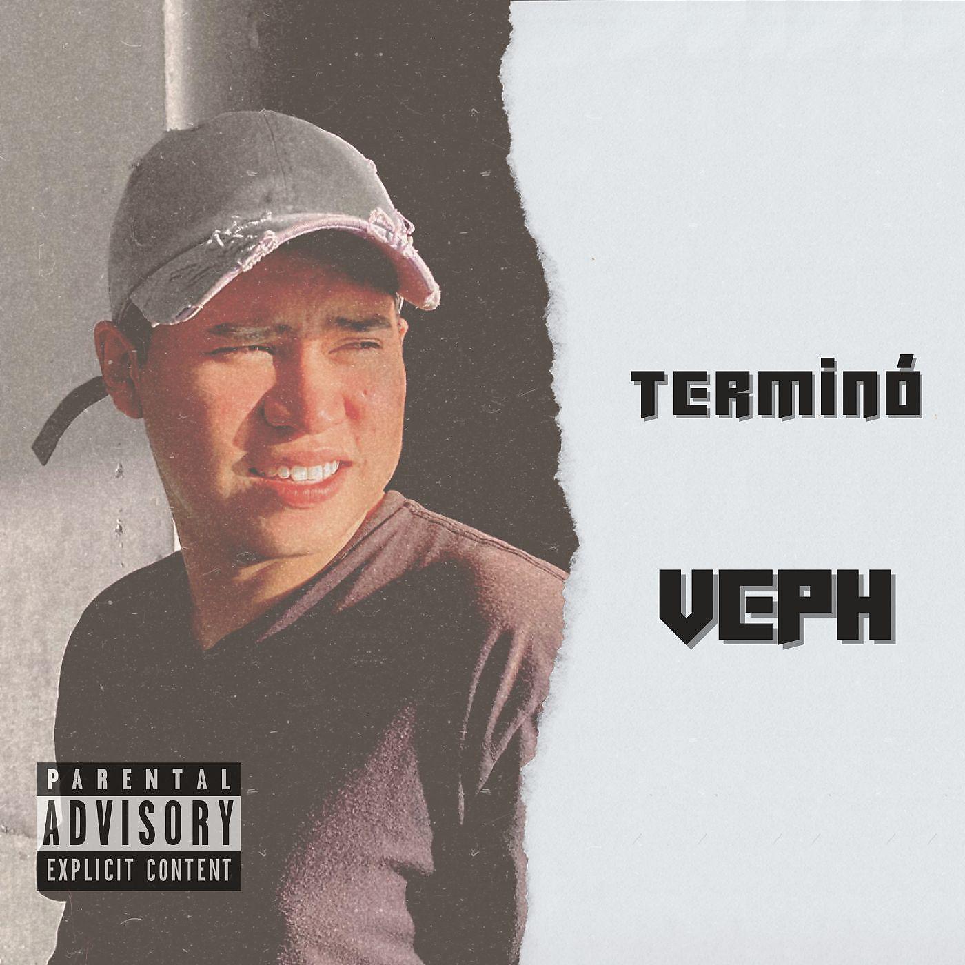 Постер альбома Terminó