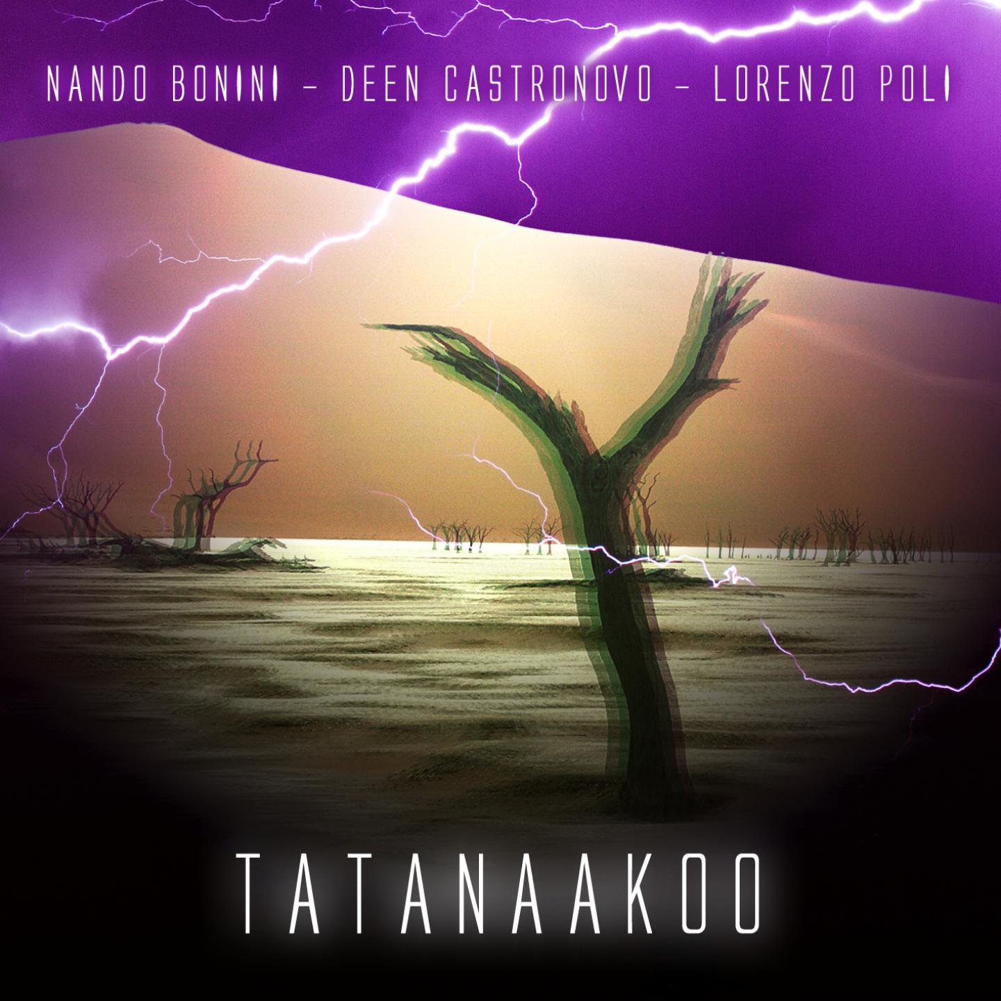 Постер альбома Tatanaakoo
