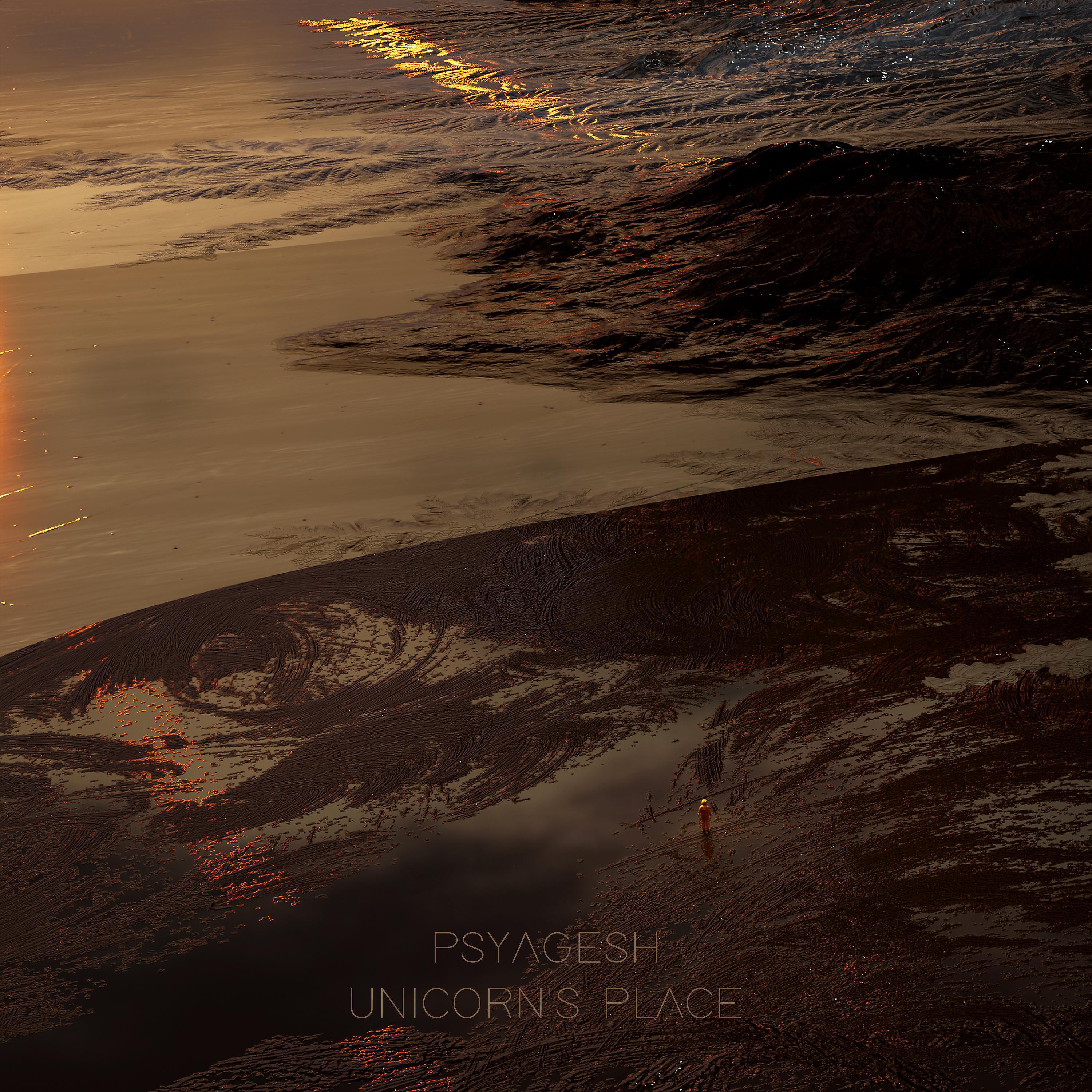 Постер альбома Unicorn's Place