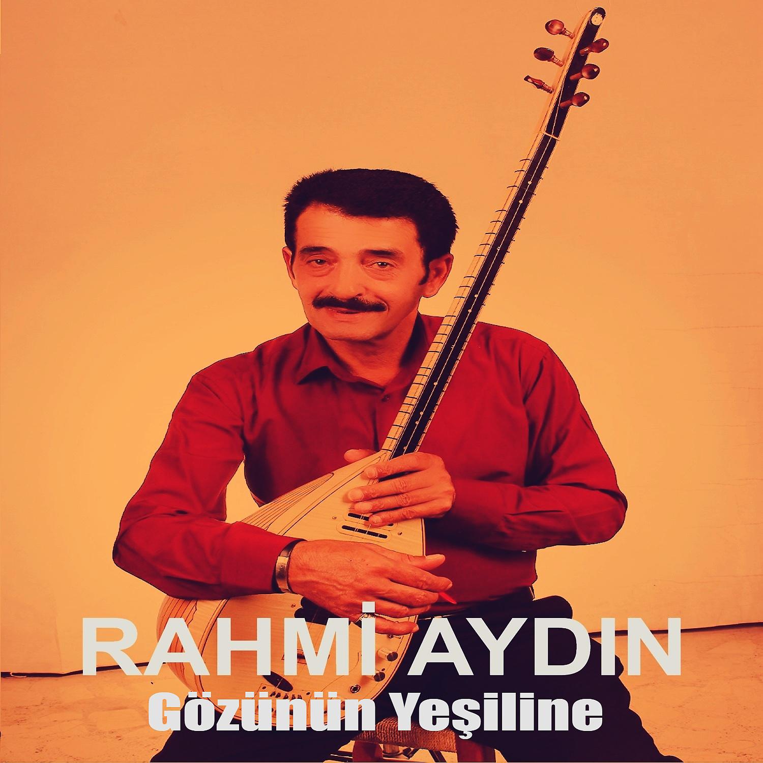 Постер альбома Gözünün Yeşiline