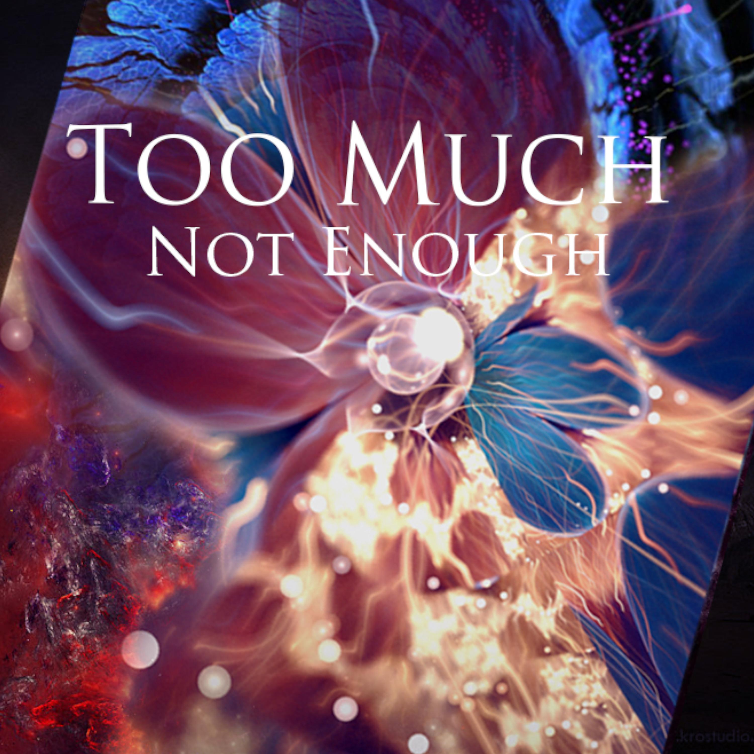 Постер альбома Too Much: Not Enough