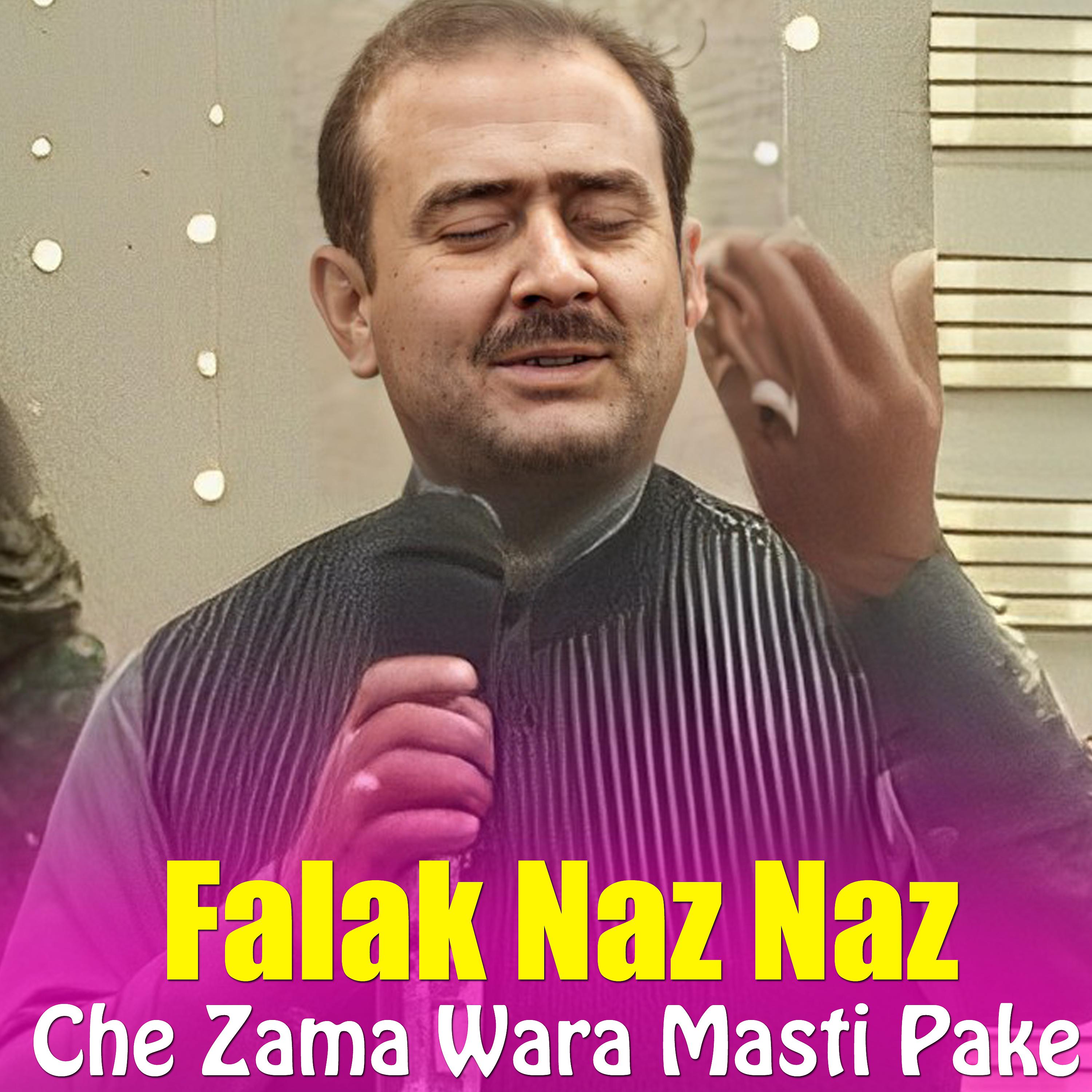 Постер альбома Che Zama Wara Masti Pake