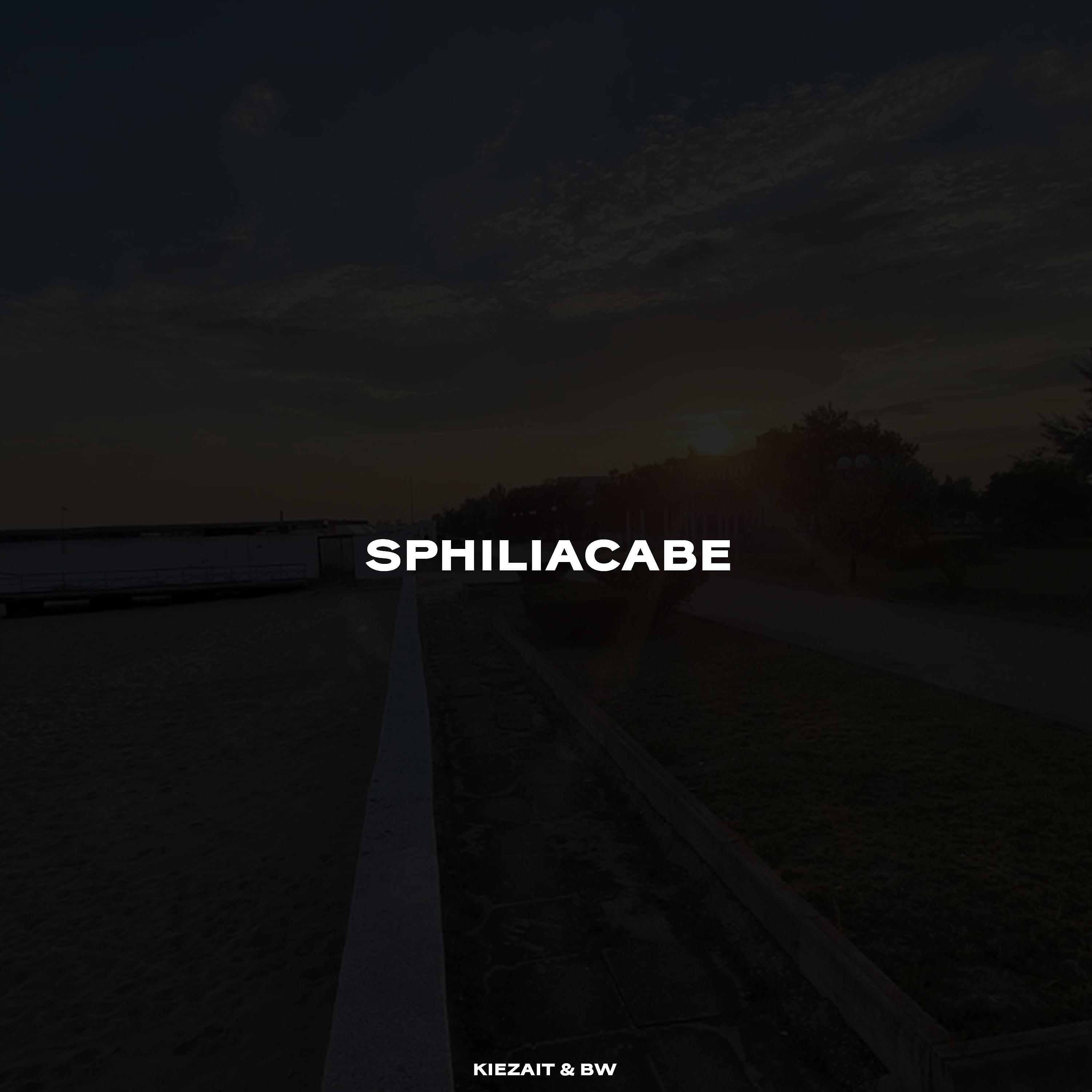 Постер альбома Sphiliacabe