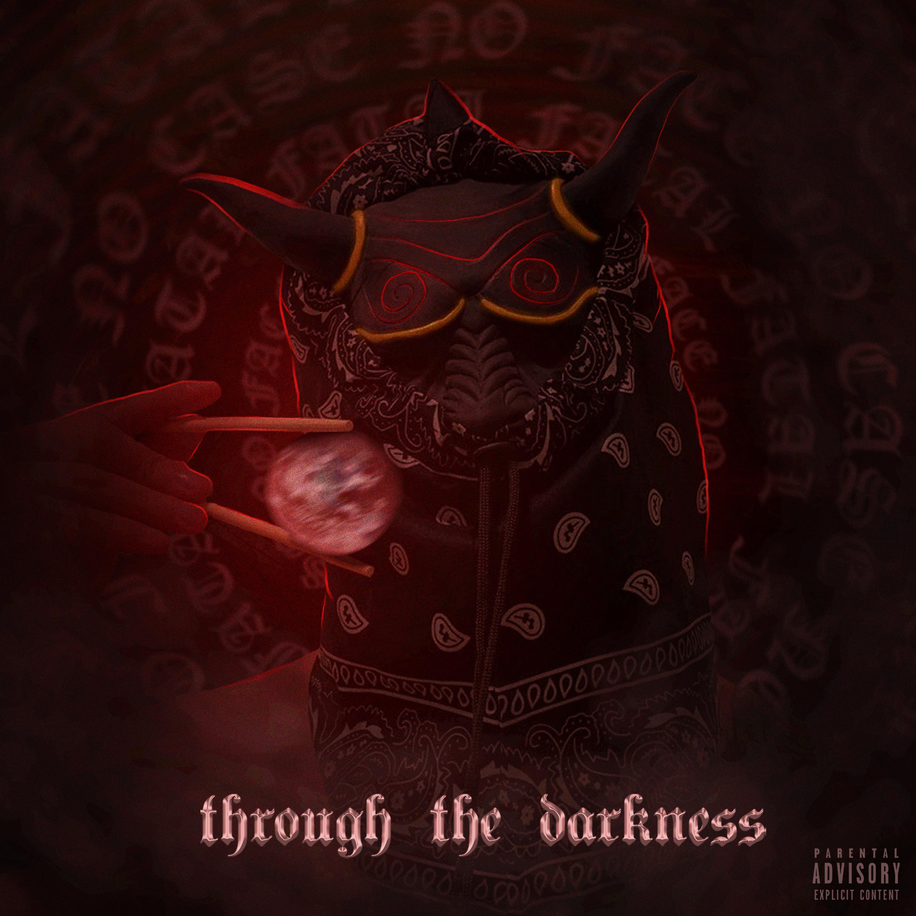 Постер альбома Through the Darkness