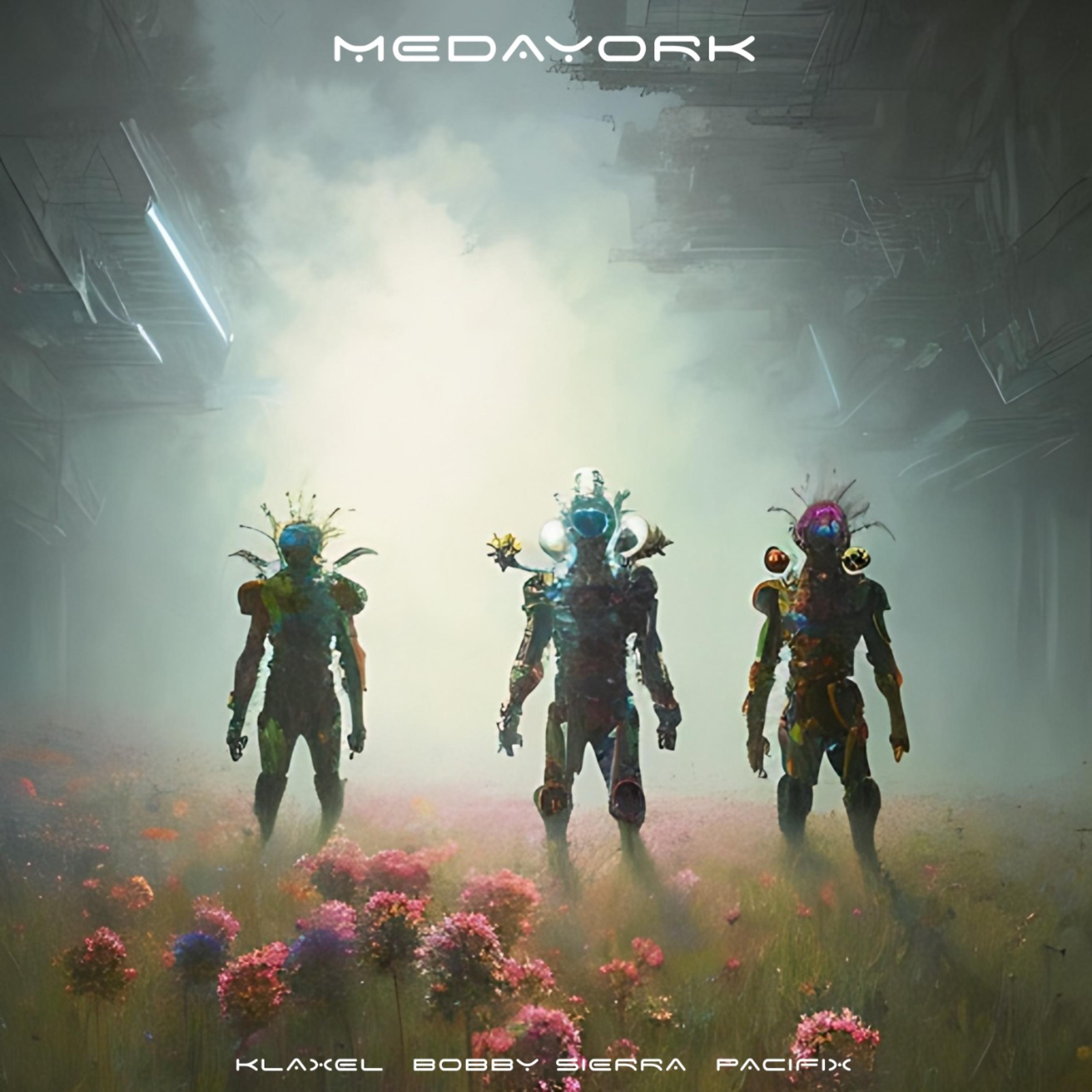 Постер альбома Medayork