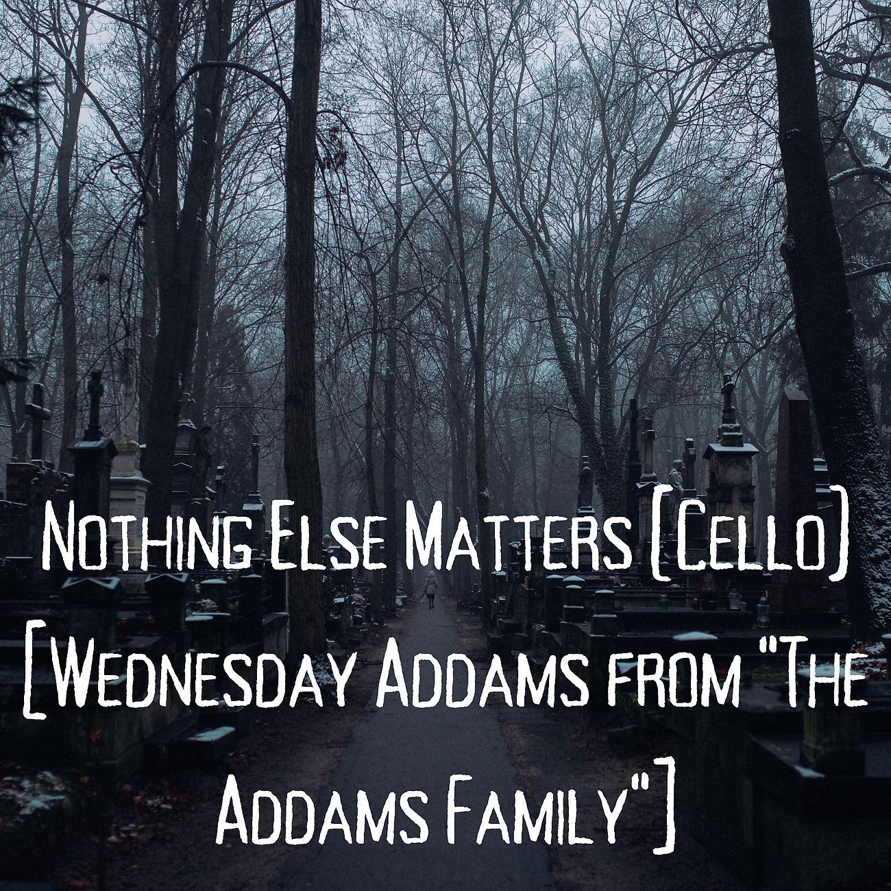 Постер альбома Nothing Else Matters (Cello) [Wednesday Addams from "The Addams Family"]