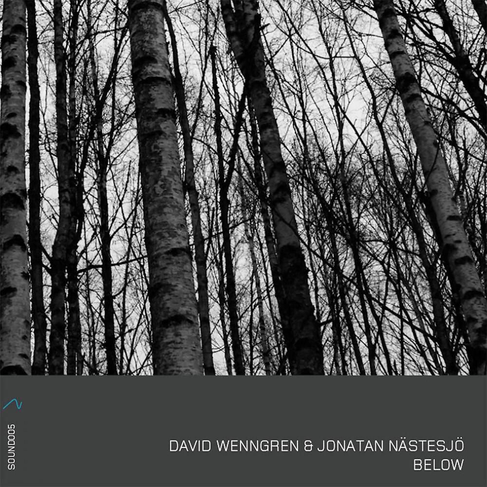 David Wenngren & Jonatan Nästesjö - Still Nothing Moves You