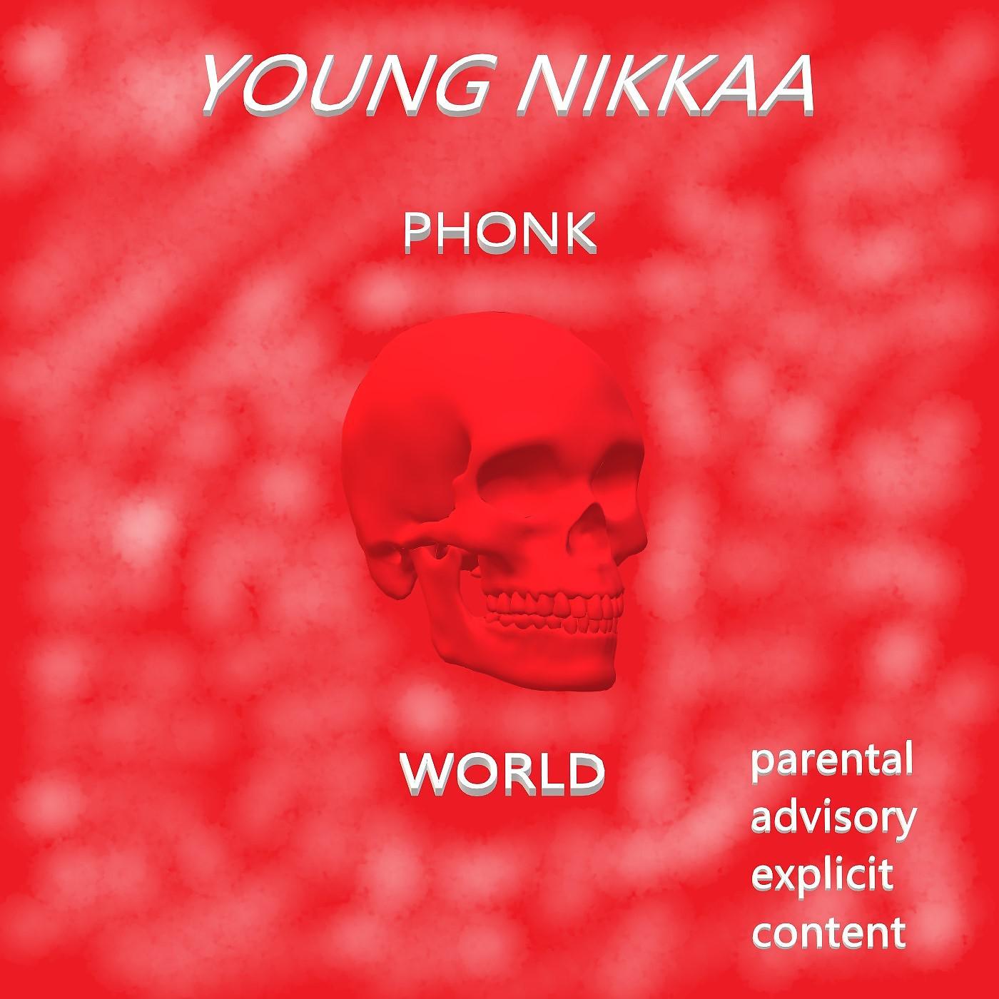 Постер альбома Phonk World
