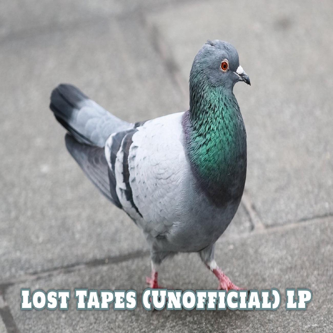 Постер альбома Lost Tapes (Unofficial) LP