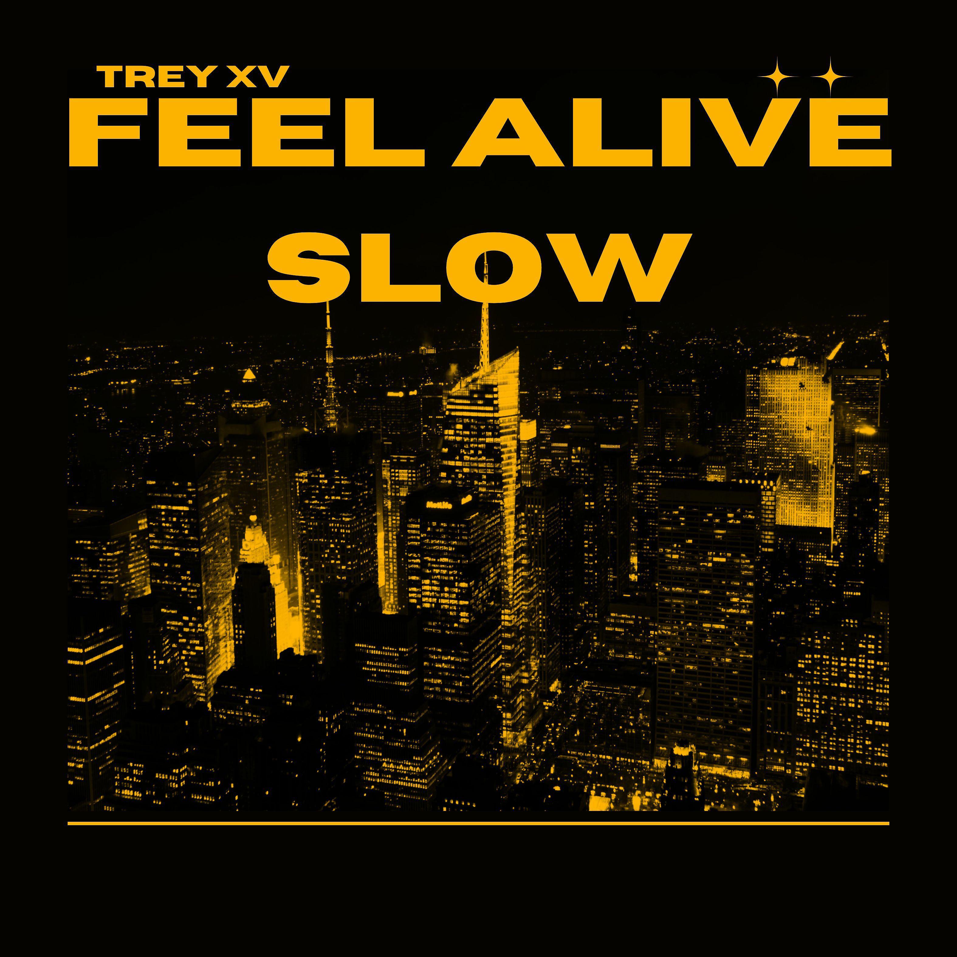 Постер альбома Feel Alive Slow