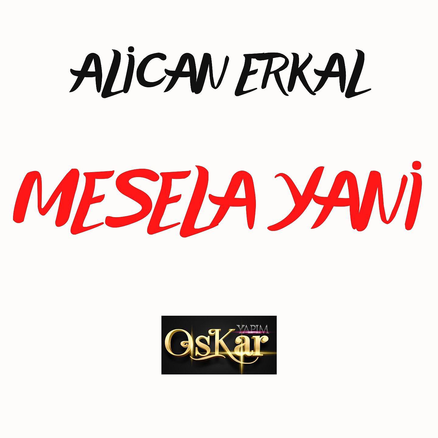 Постер альбома Mesela Yani