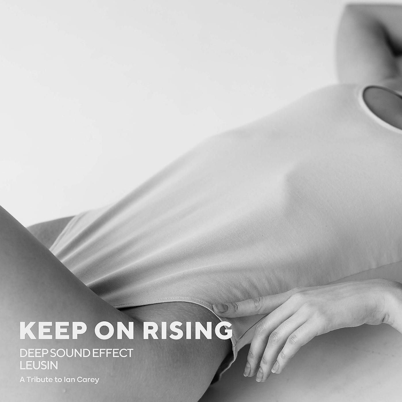 Постер альбома Keep on Rising (A Tribute to Ian Carey)