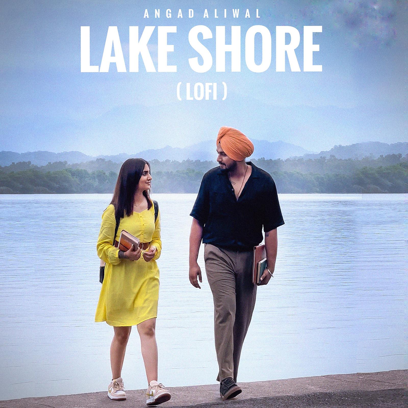 Постер альбома Lake Shore Lofi