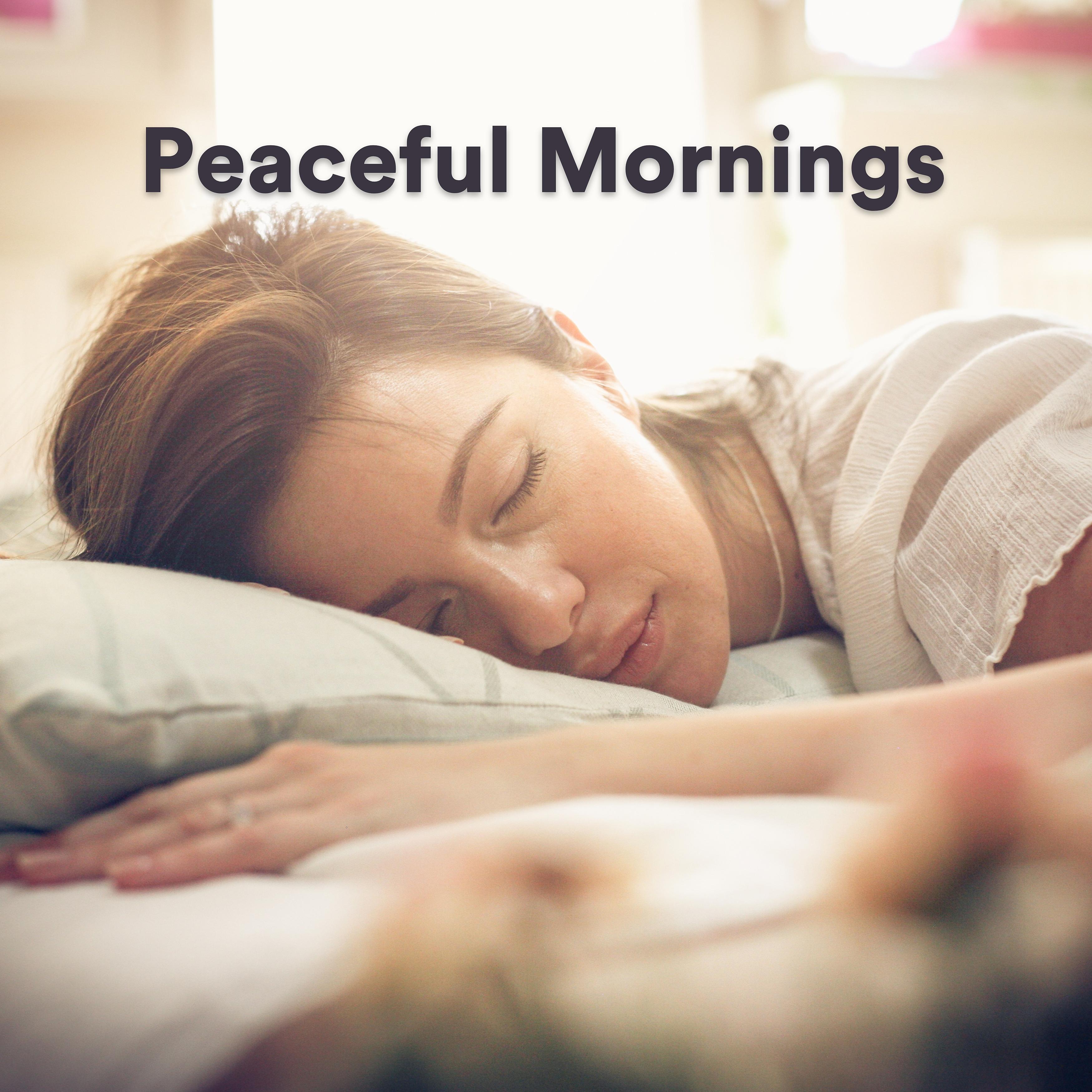 Постер альбома Peaceful Mornings