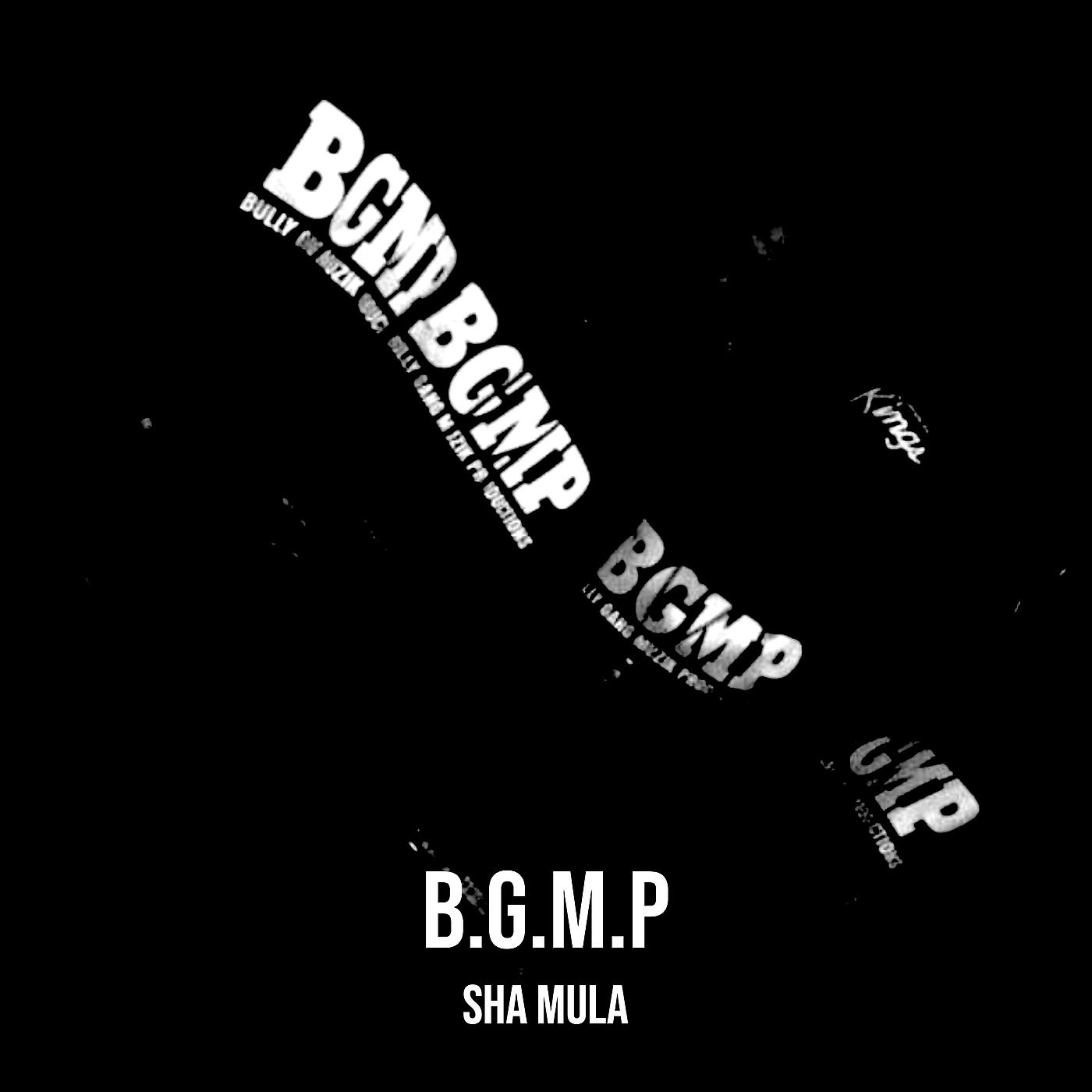 Постер альбома B.G.M.P