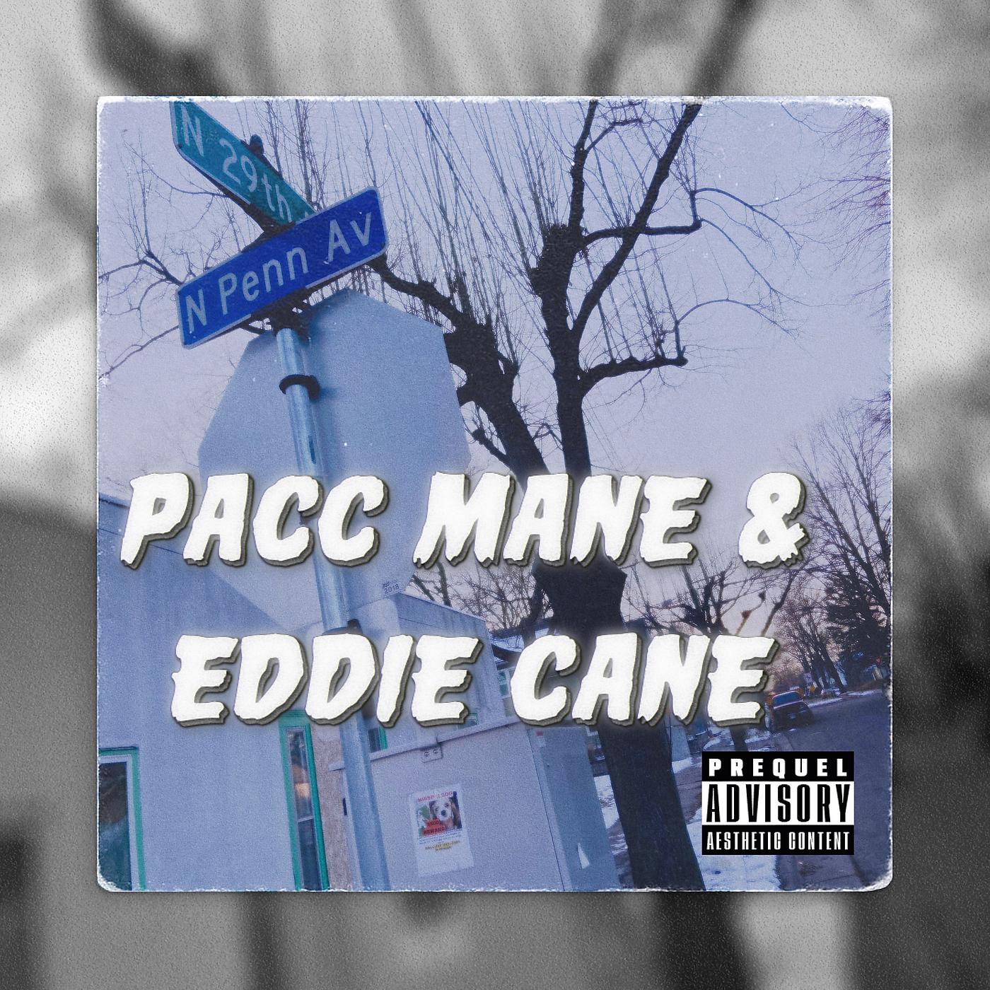 Постер альбома Pacc Mane & Eddie Cane