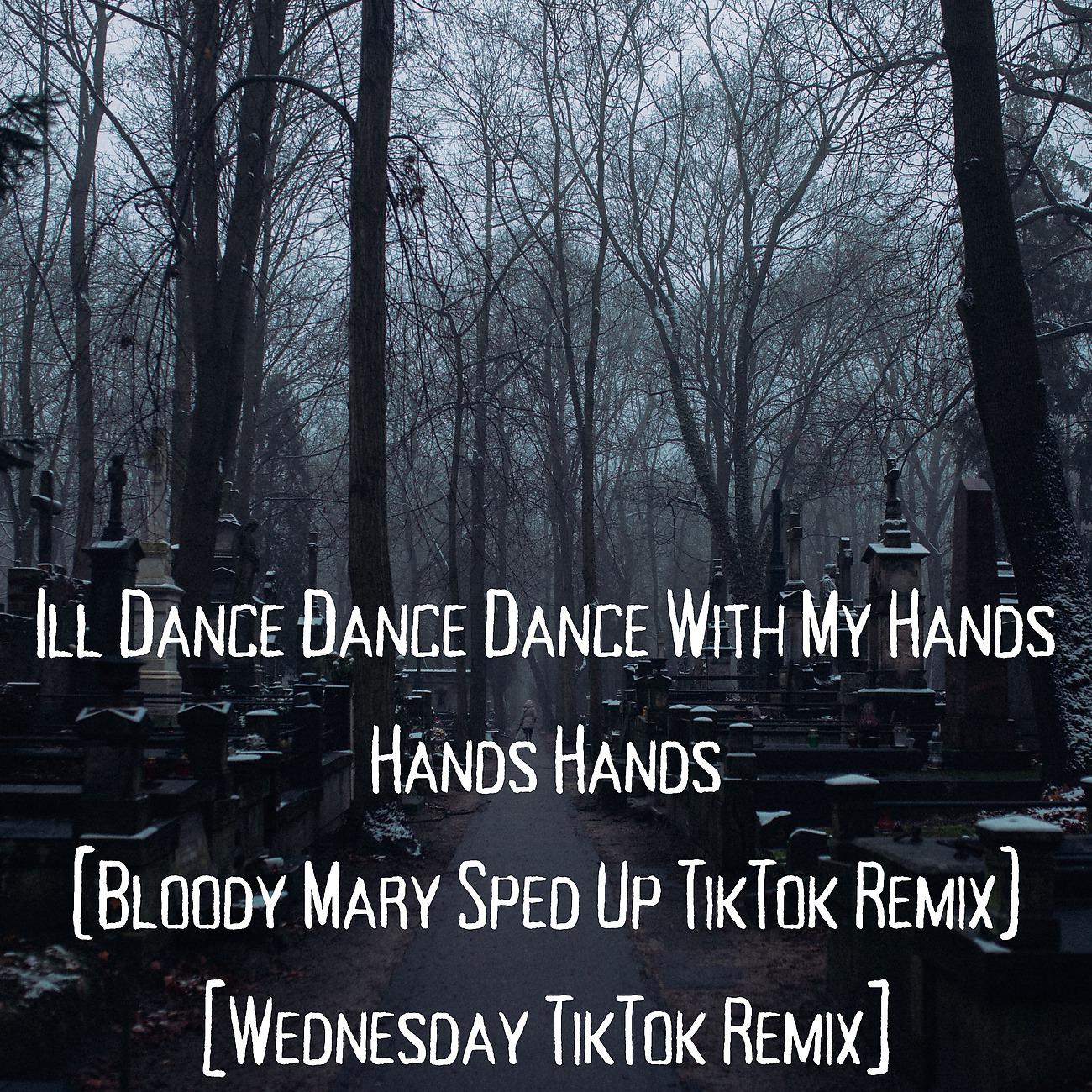 Постер альбома Ill Dance Dance Dance With My Hands Hands Hands (Bloody Mary Sped Up TikTok Remix) [Wednesday TikTok Remix]