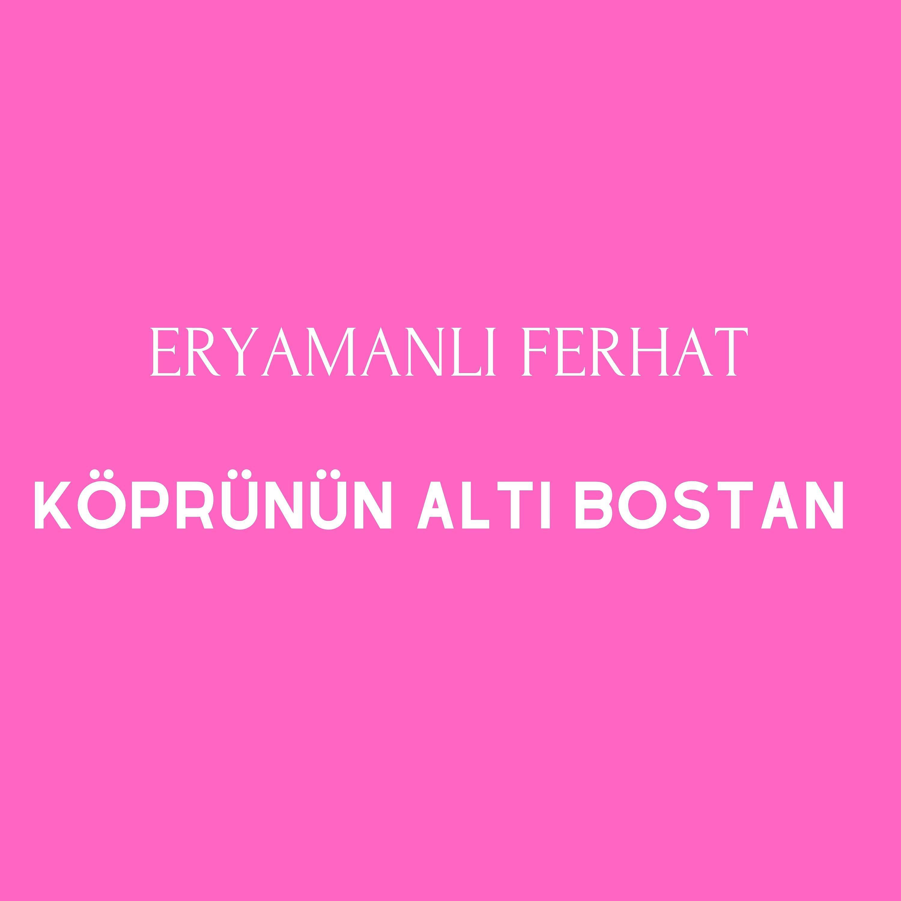 Постер альбома Köprünün Altı Bostan