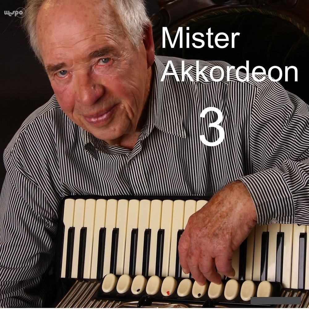 Постер альбома Mister Akkordeon (3) [Akkordeonistik]