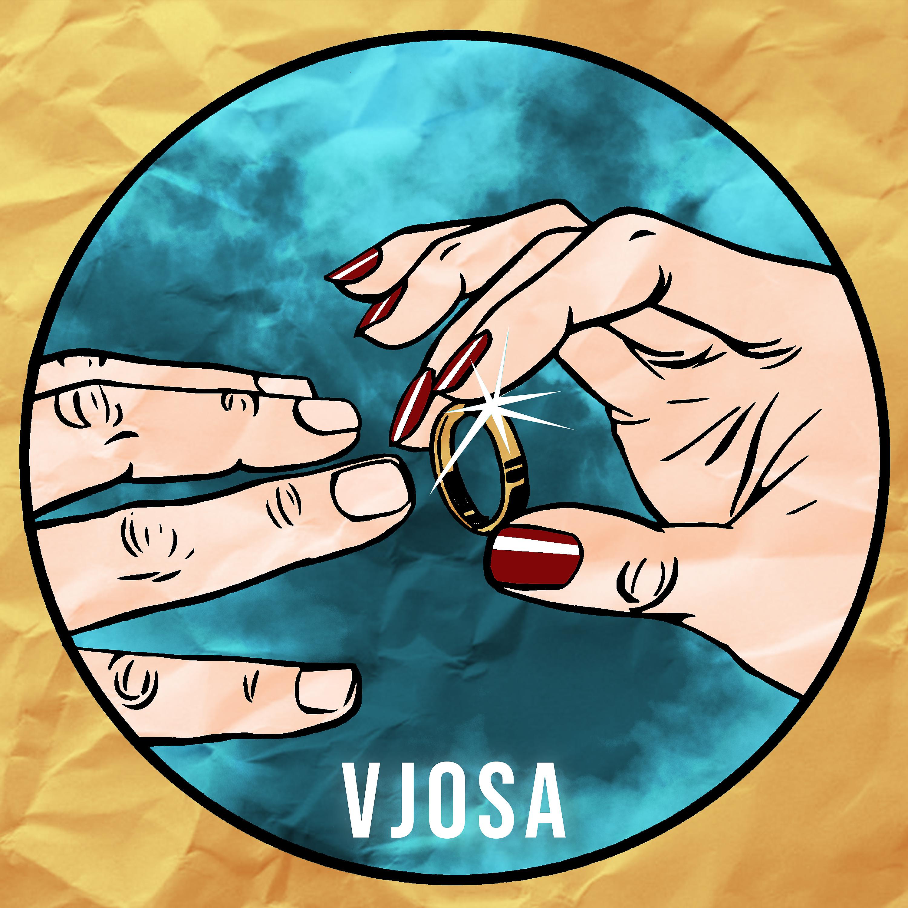 Постер альбома Vjosa