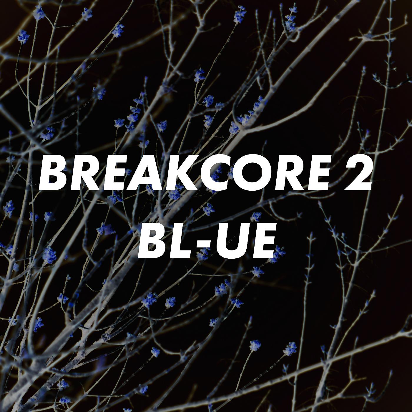 Постер альбома Breakcore 2
