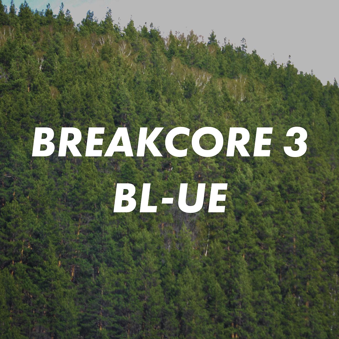 Постер альбома Breakcore 3