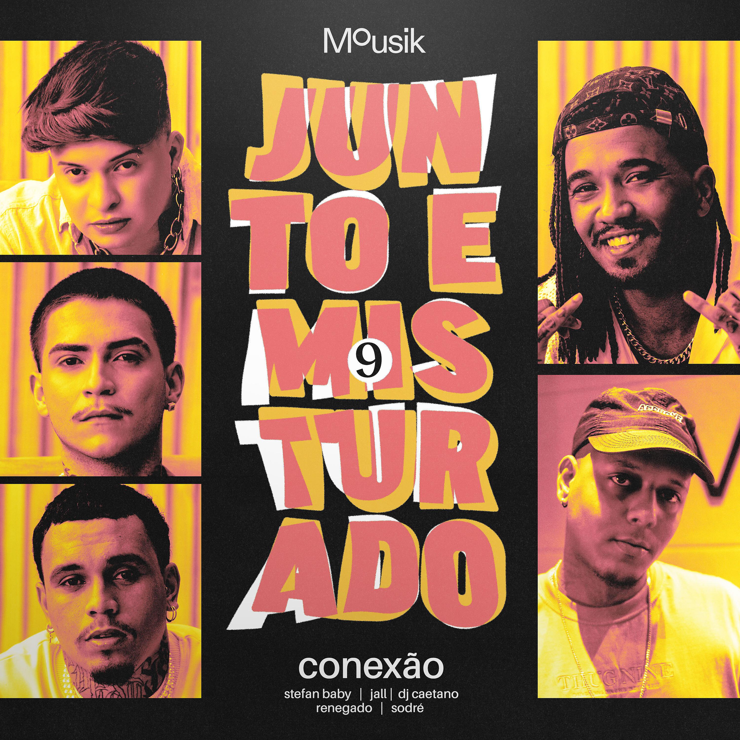 Постер альбома Junto e Misturado #9: Conexão
