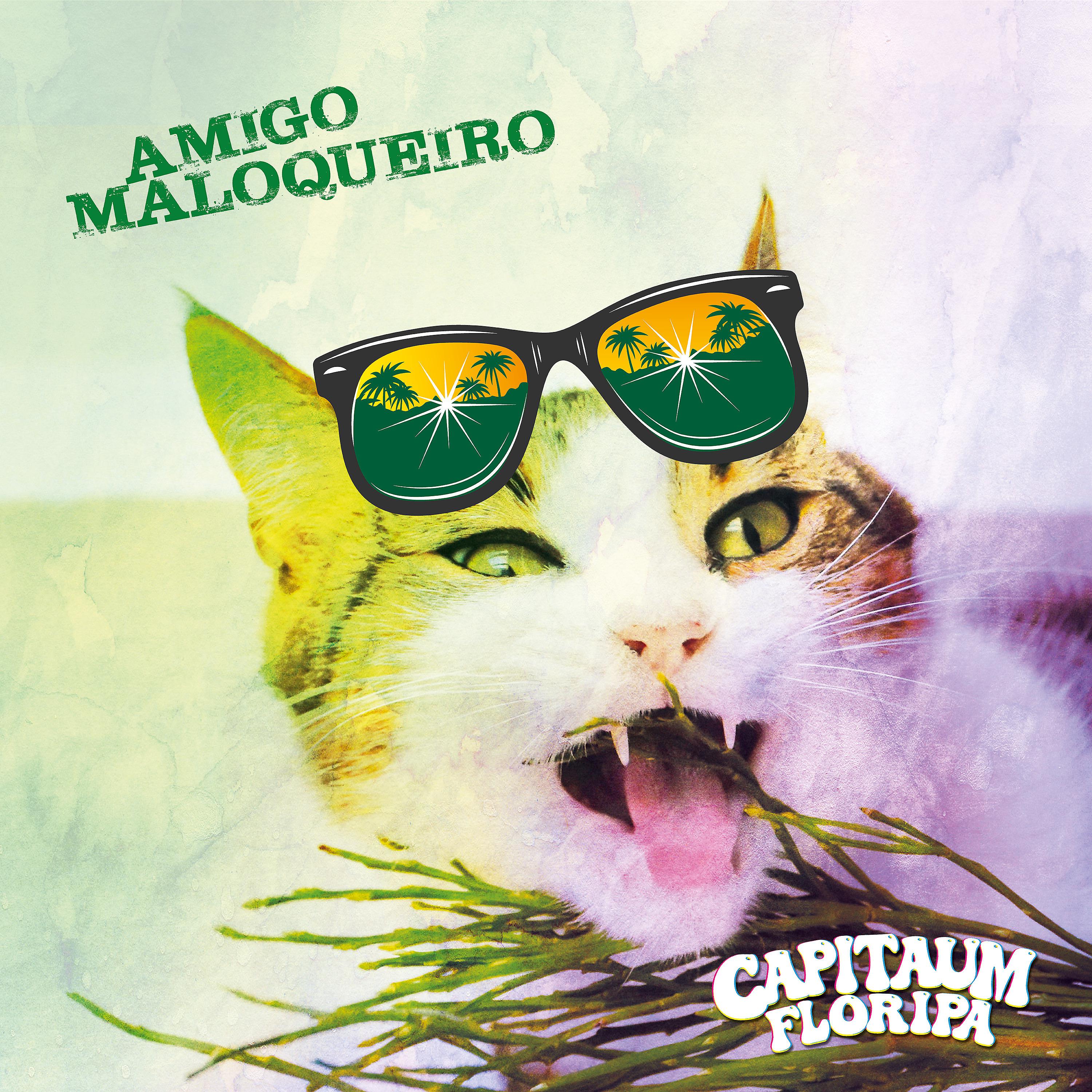 Постер альбома Amigo Maloqueiro