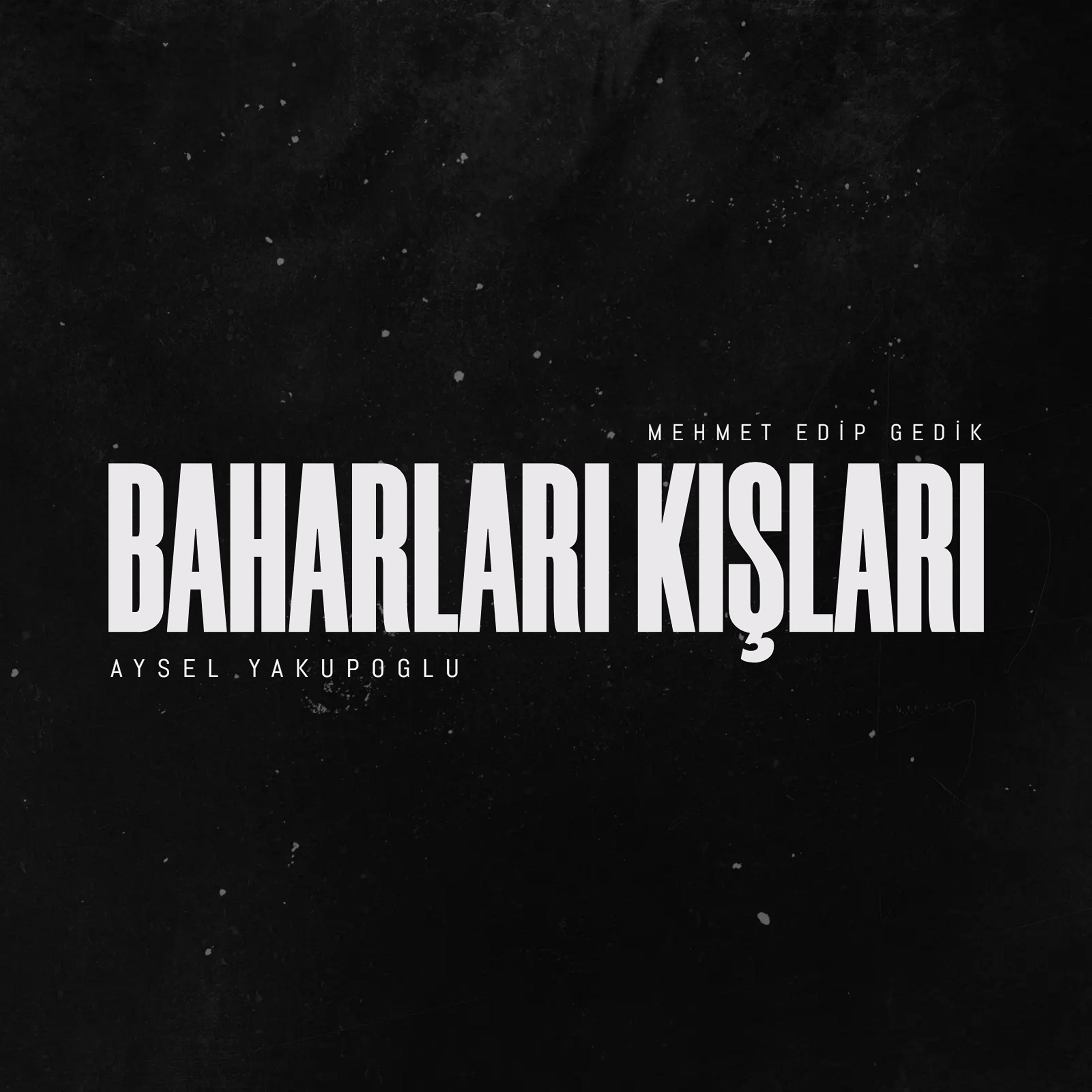Постер альбома Baharları Kışları