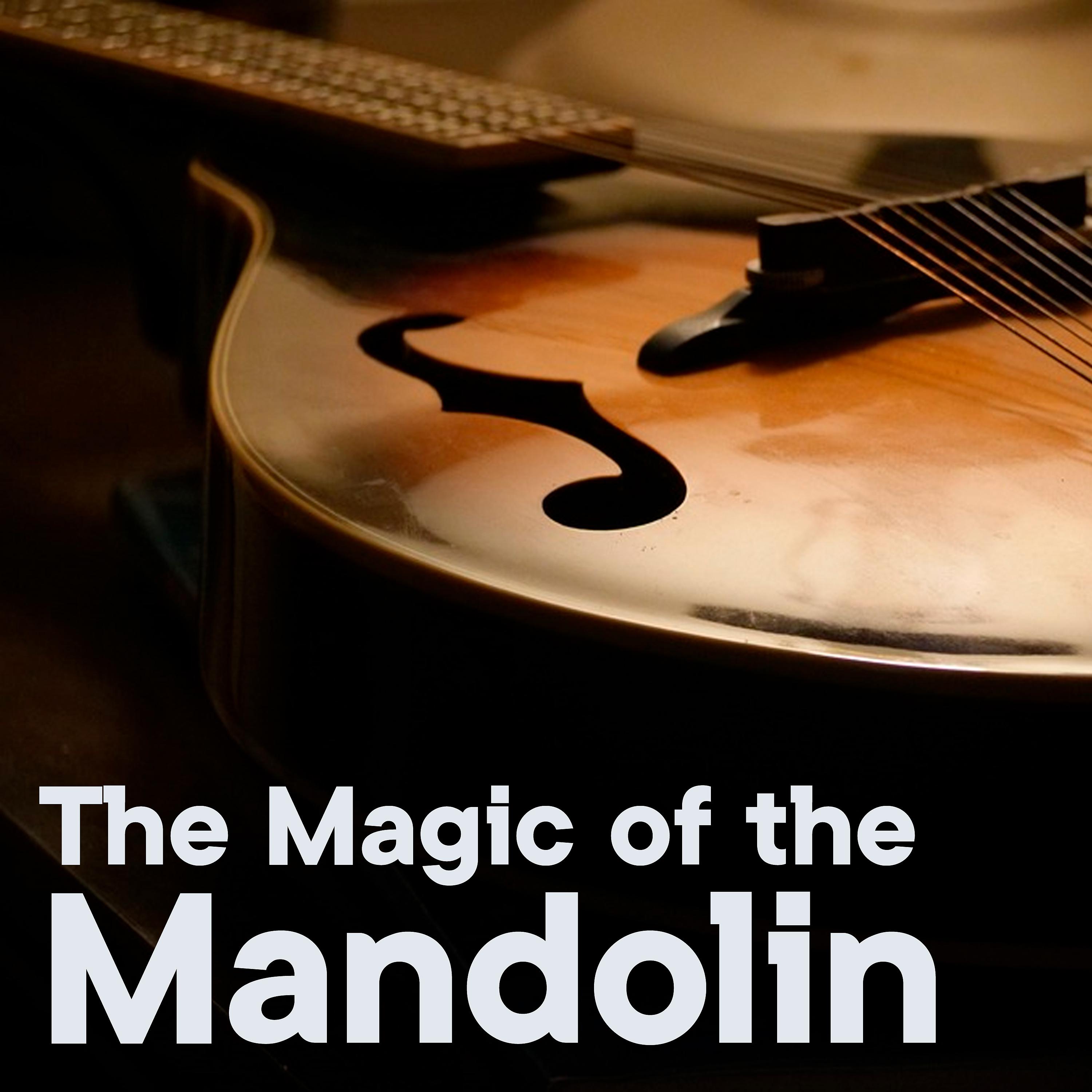 Постер альбома The Magic of the Mandolin, Vol. 2