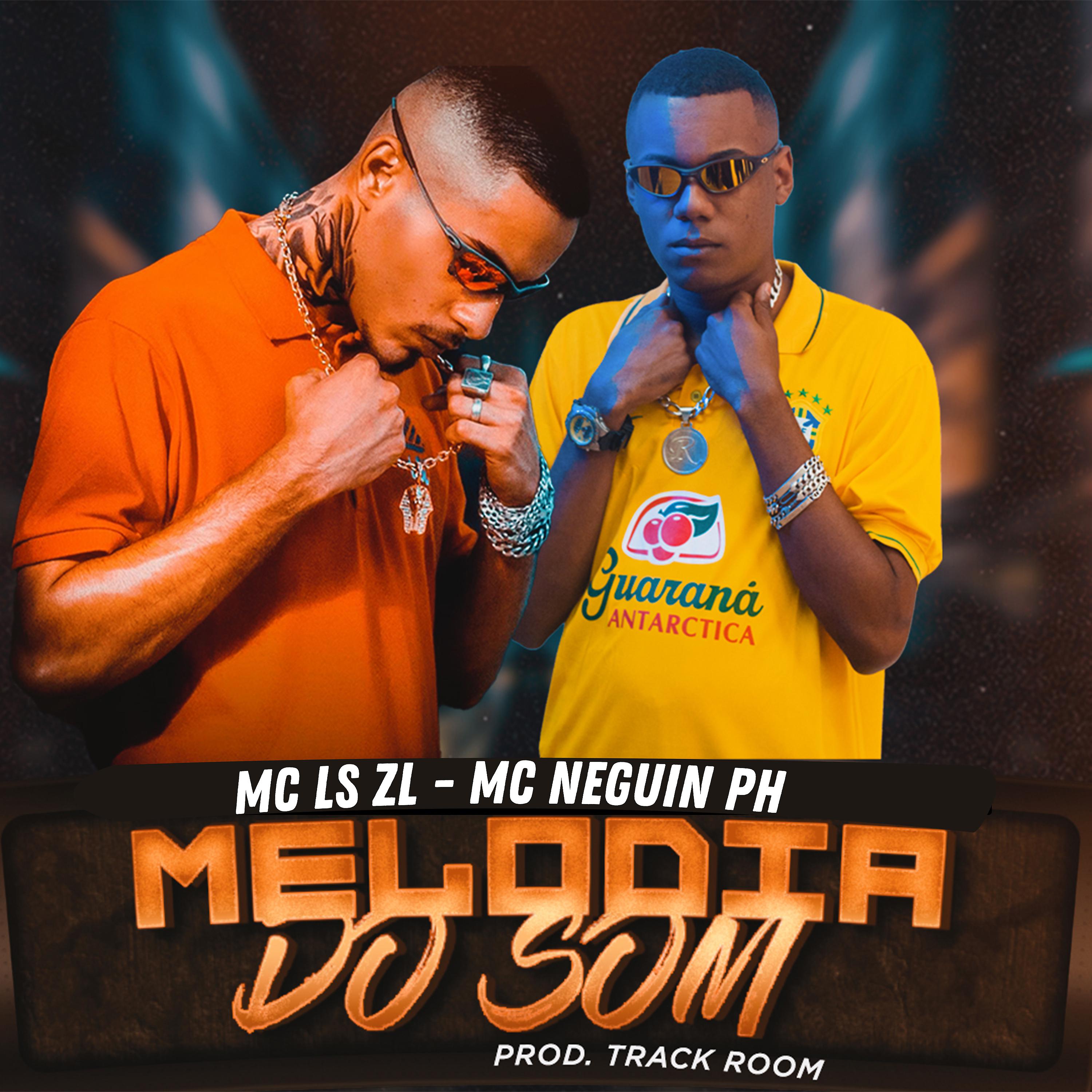 Постер альбома Melodia do Som