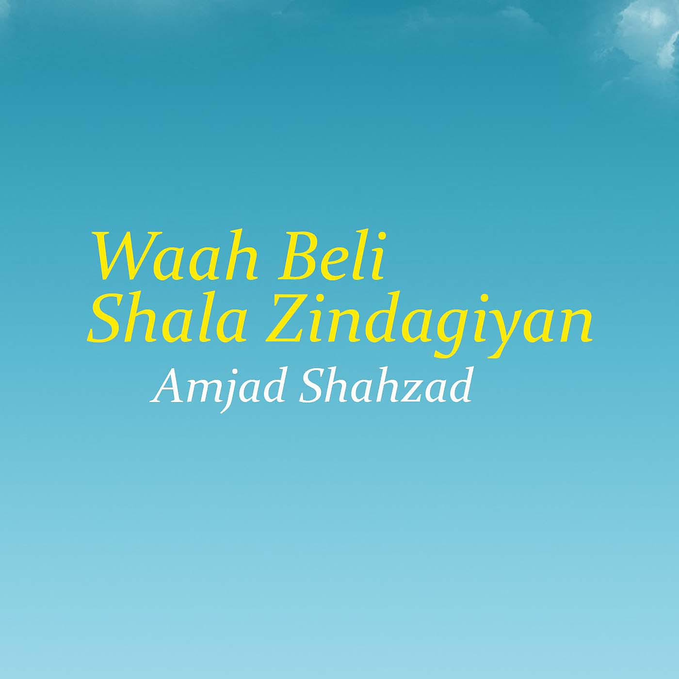 Постер альбома Waah Beli Shala Zindagiyan