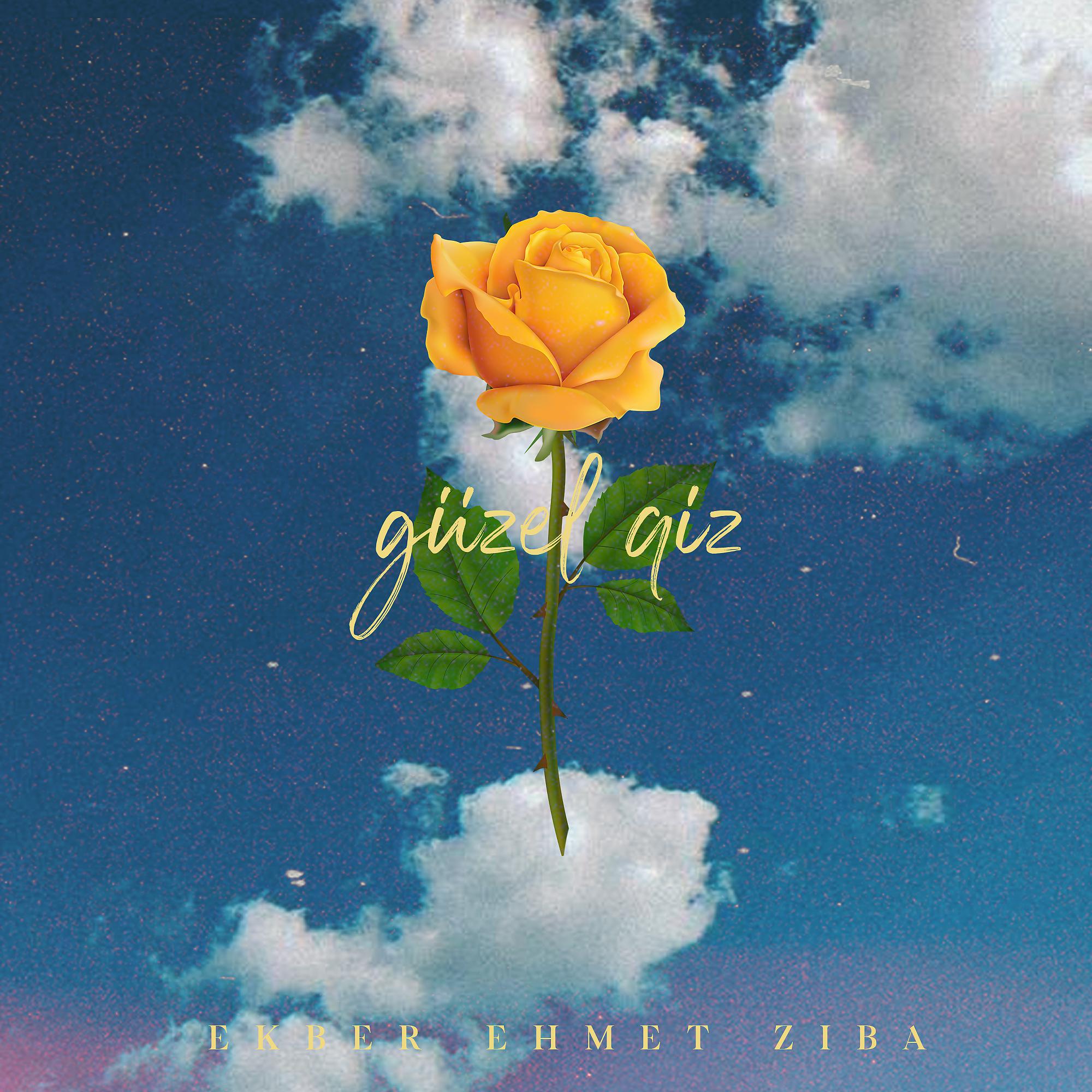 Постер альбома Güzel Qiz