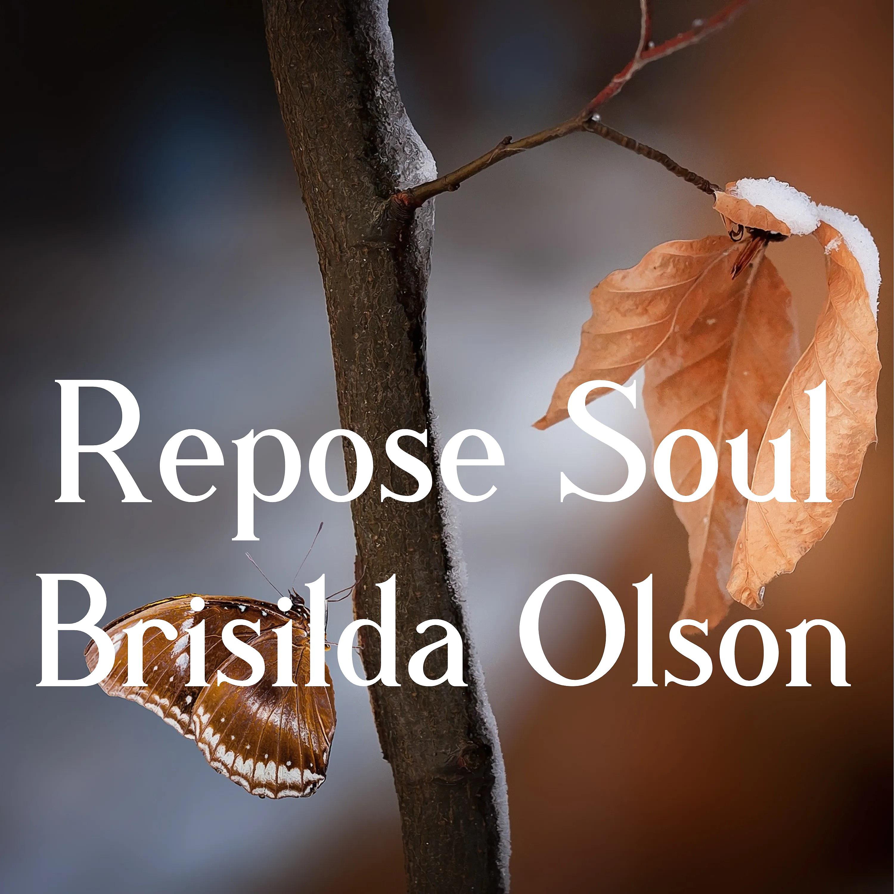 Постер альбома Repose Soul