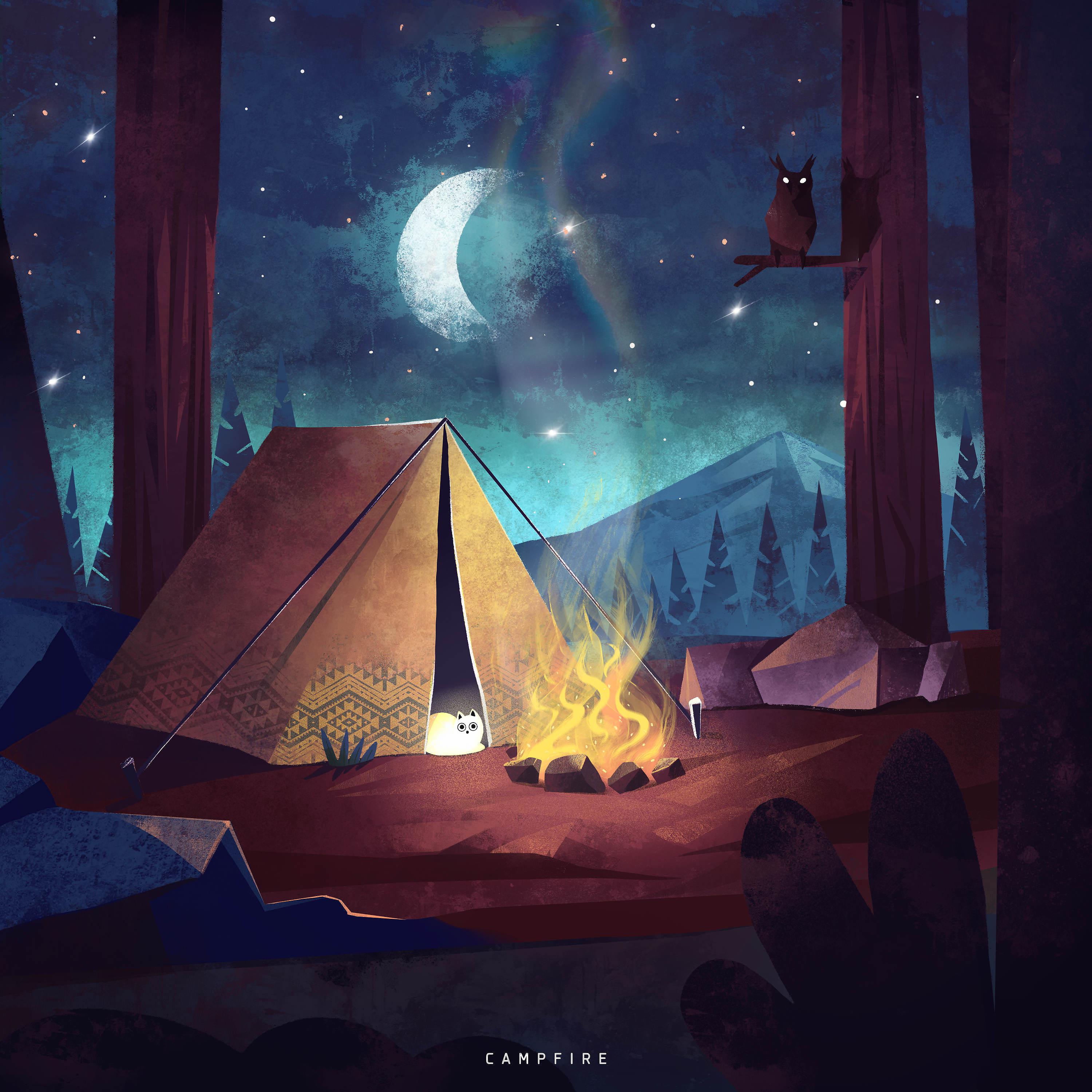 Постер альбома Campfire
