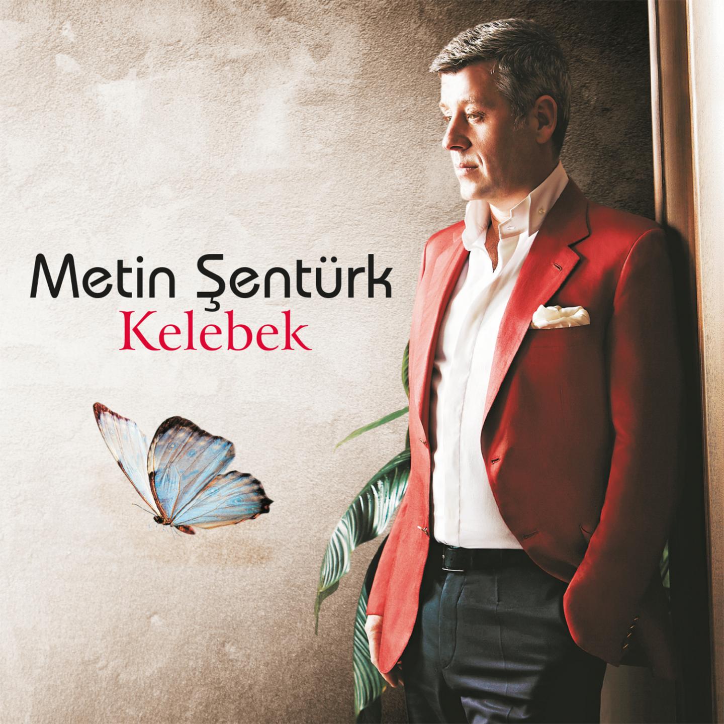 Постер альбома Kelebek