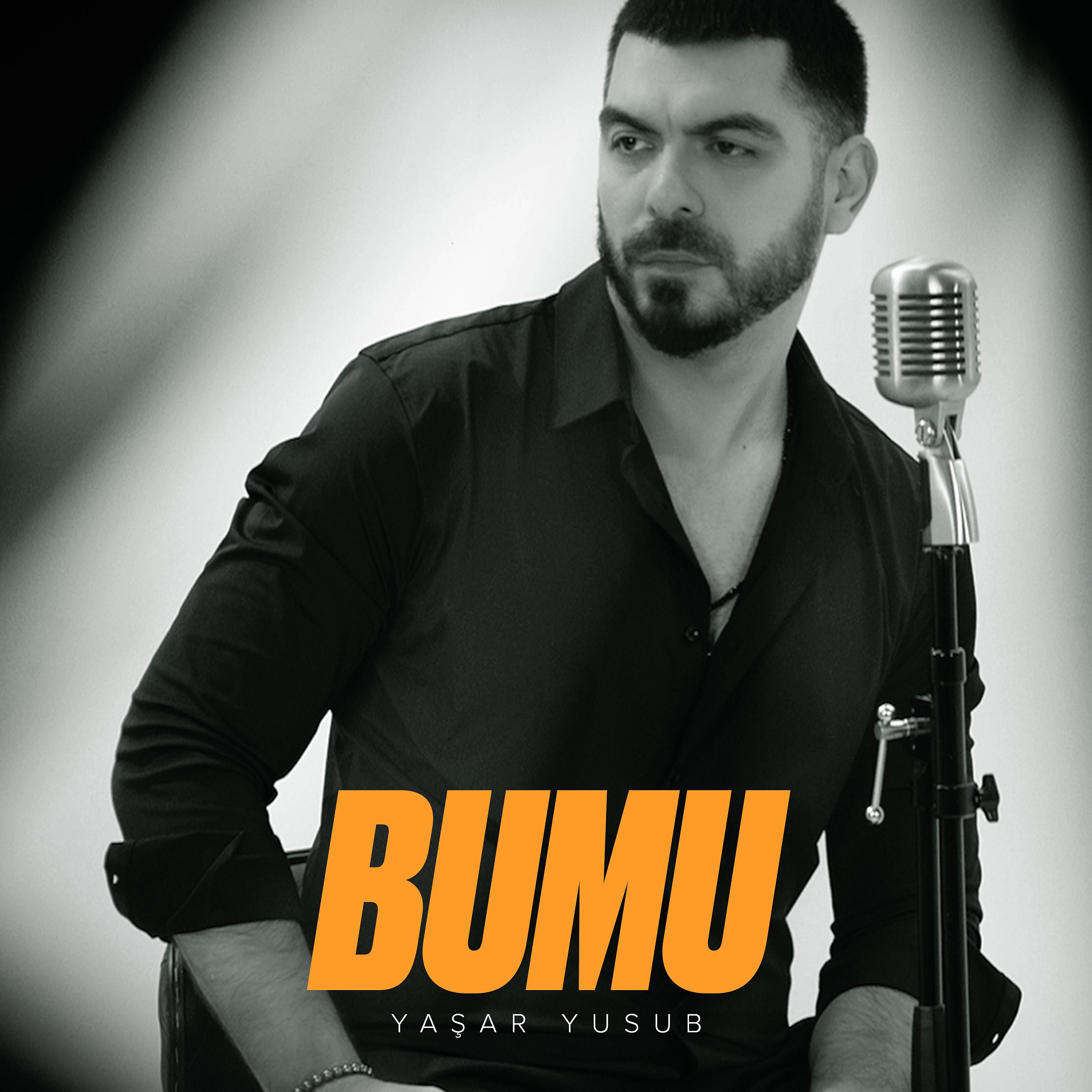 Постер альбома Bumu