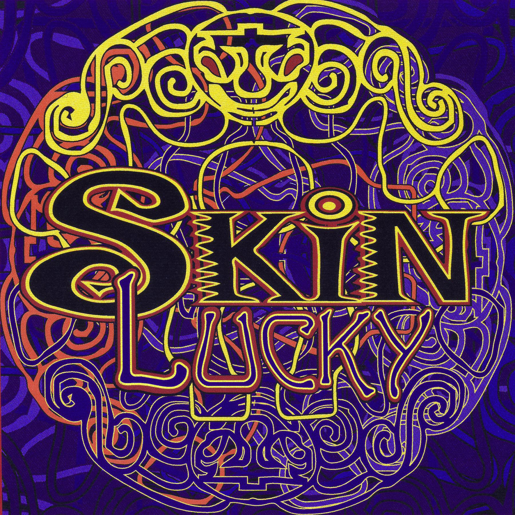 Skin - Hit Me with Your Rhythm Stick