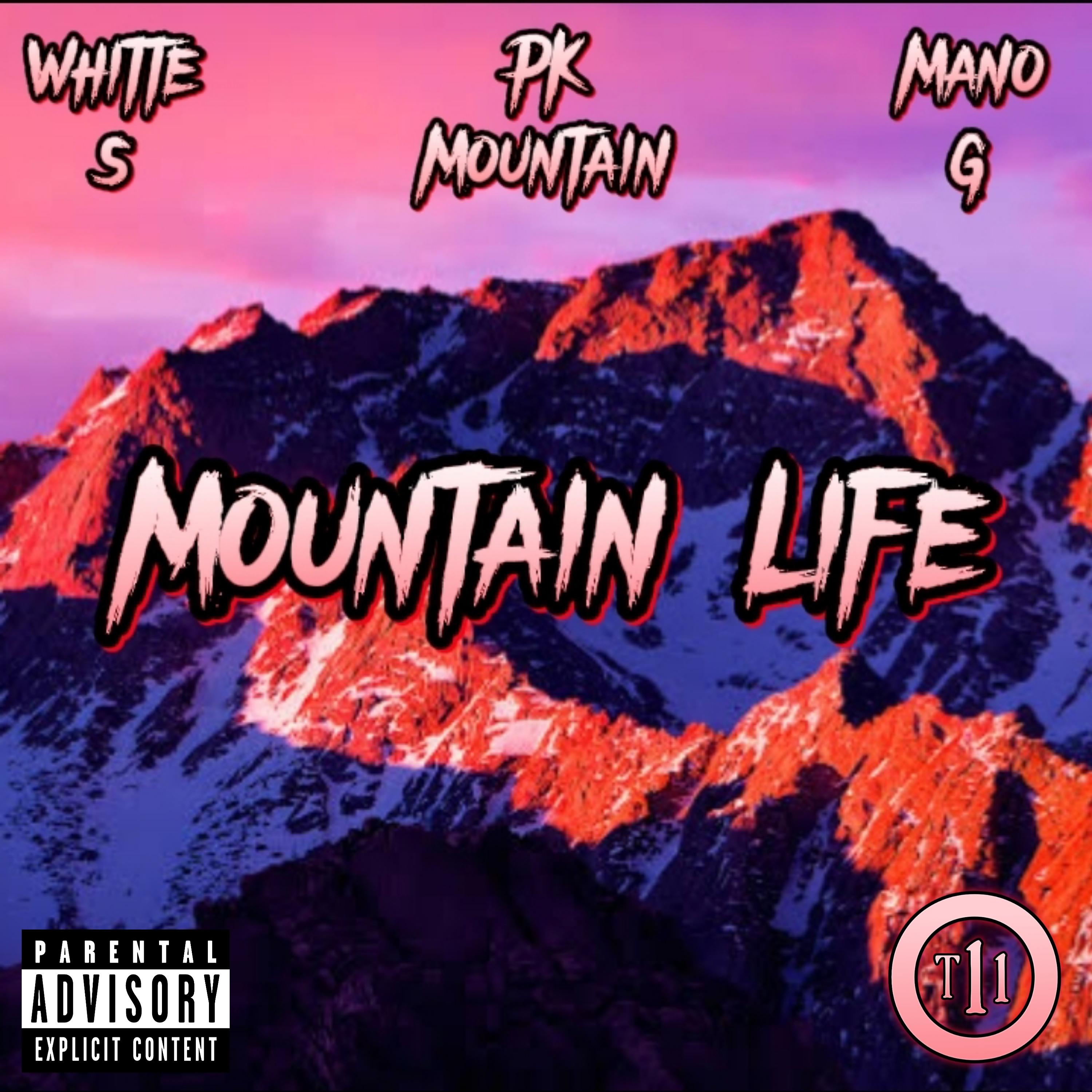 Постер альбома Mountain Life