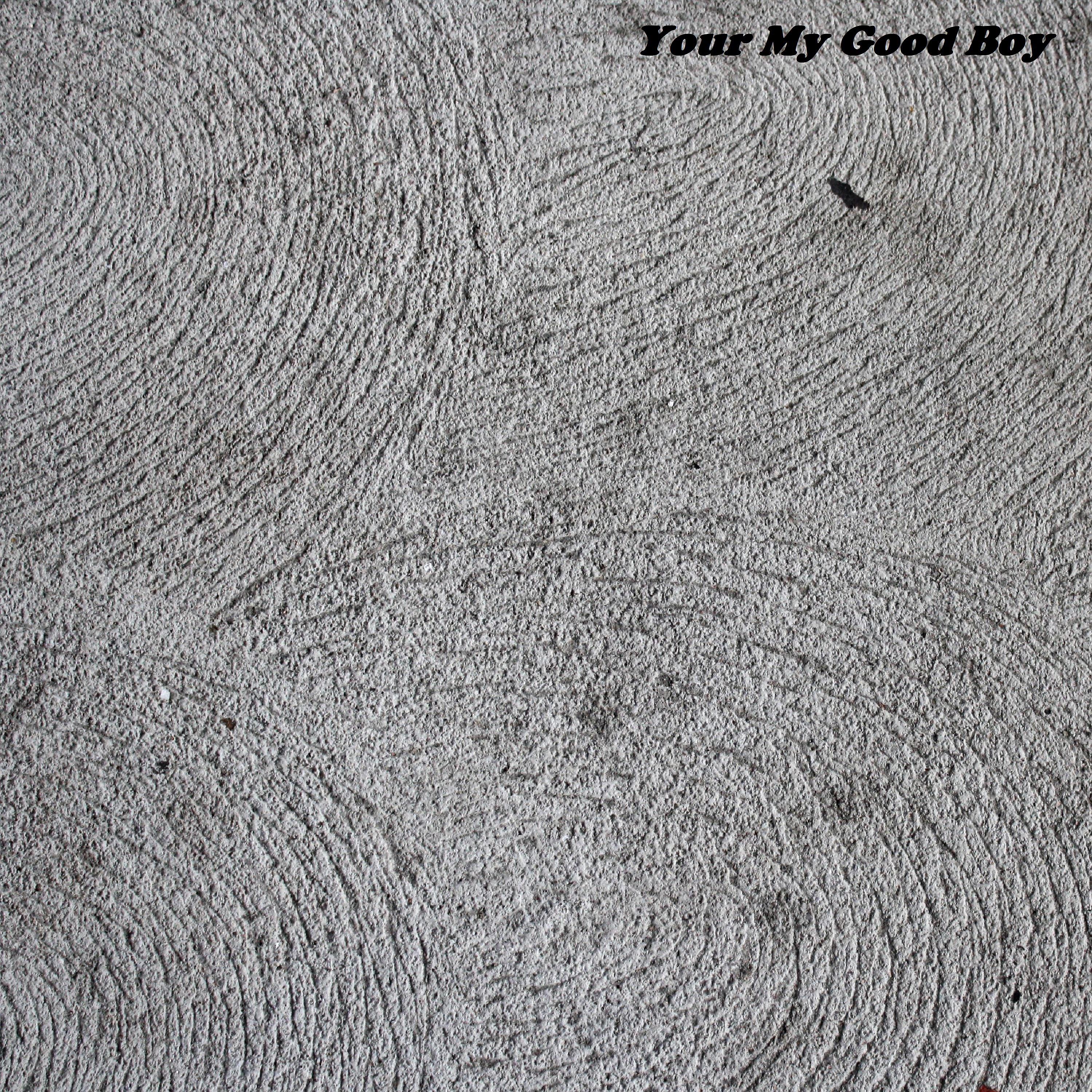 Постер альбома Your My Good Boy