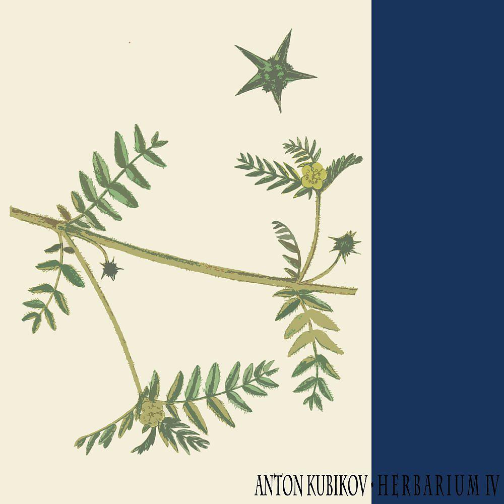 Постер альбома Herbarium Part Four